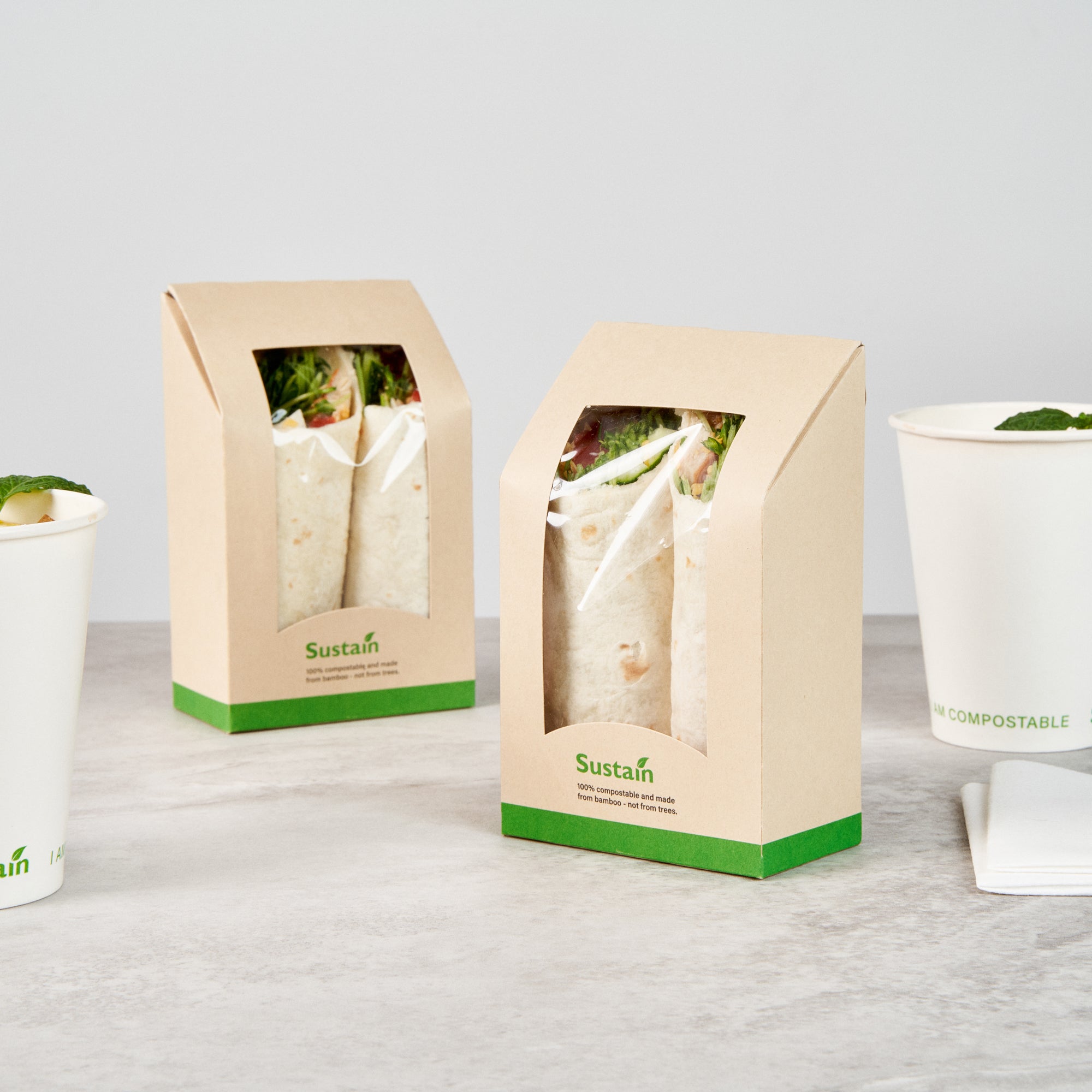 Sustain Bamboo Paper Sandwich / Wrap Take Out Container - with PLA Lining and Window, Compostable - 6" x 3 3/4" x 2" - 200 count box