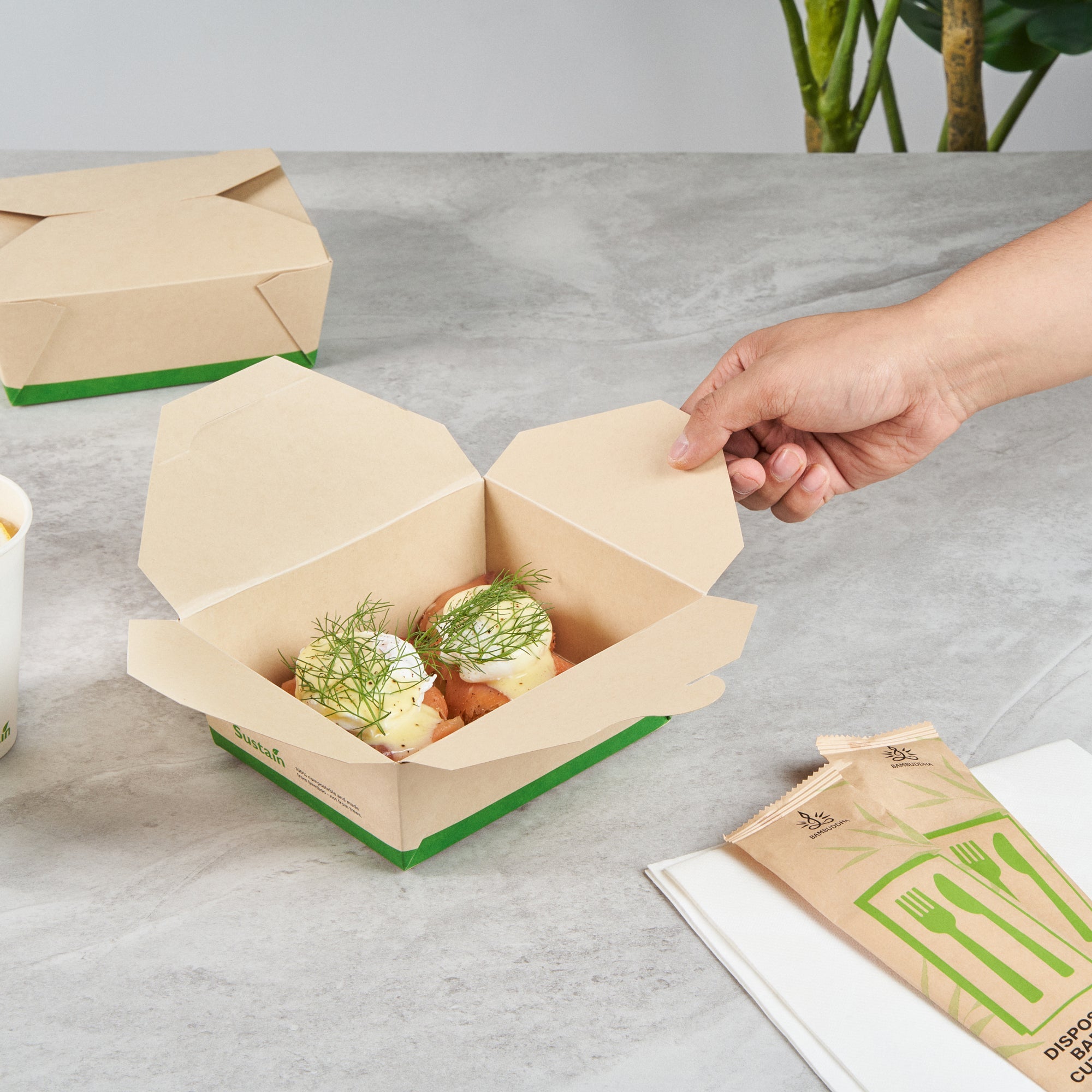 Sustain 45 oz Rectangle Bamboo Paper #8 Bio Box Take Out Container - with PLA Lining, Compostable - 6 3/4" x 5 1/2" x 2 1/2" - 50 count box