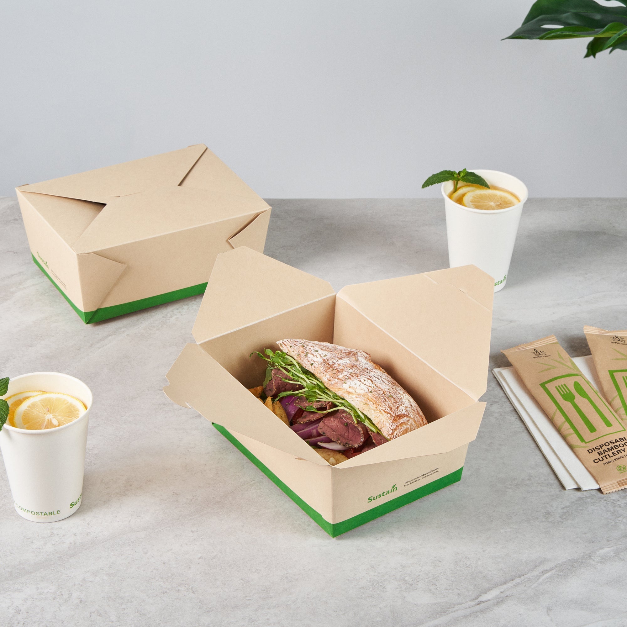 Sustain 98 oz Rectangle Bamboo Paper #4 Bio Box Take Out Container - with PLA Lining, Compostable - 8 1/2" x 6 1/4" x 3 1/2" - 200 count box
