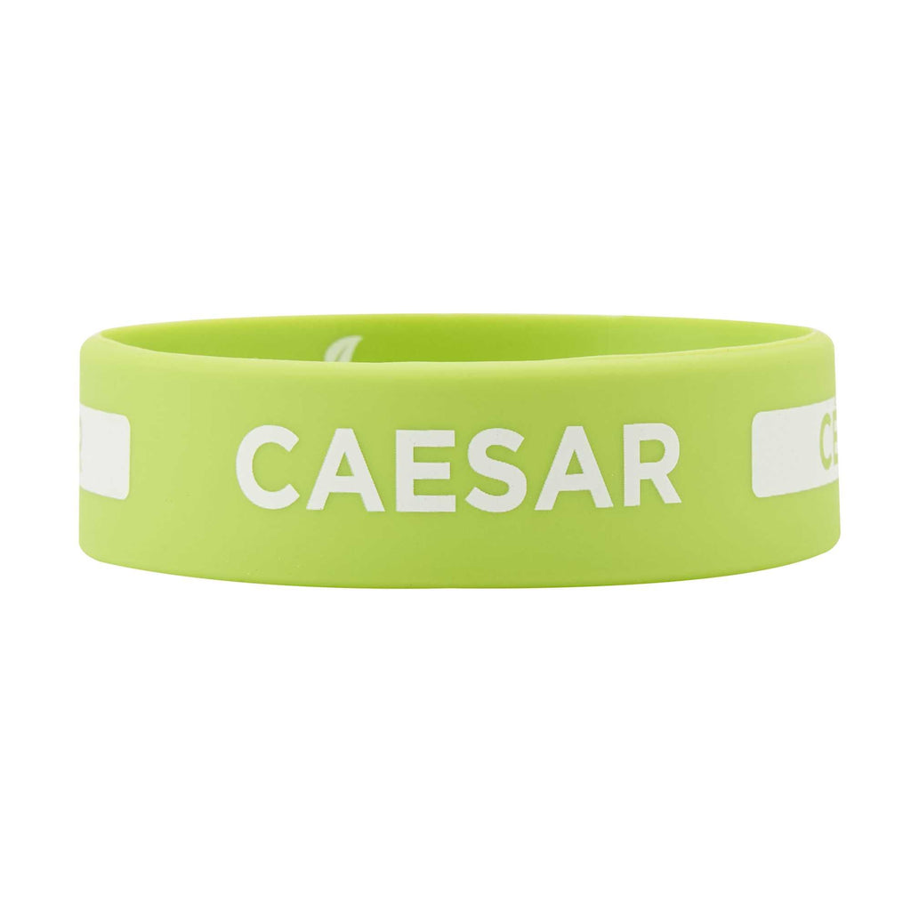 First In First Out Green Silicone Caesar Label Band - Fits 16, 20 and 24 oz Squeeze Bottles - 1 count box