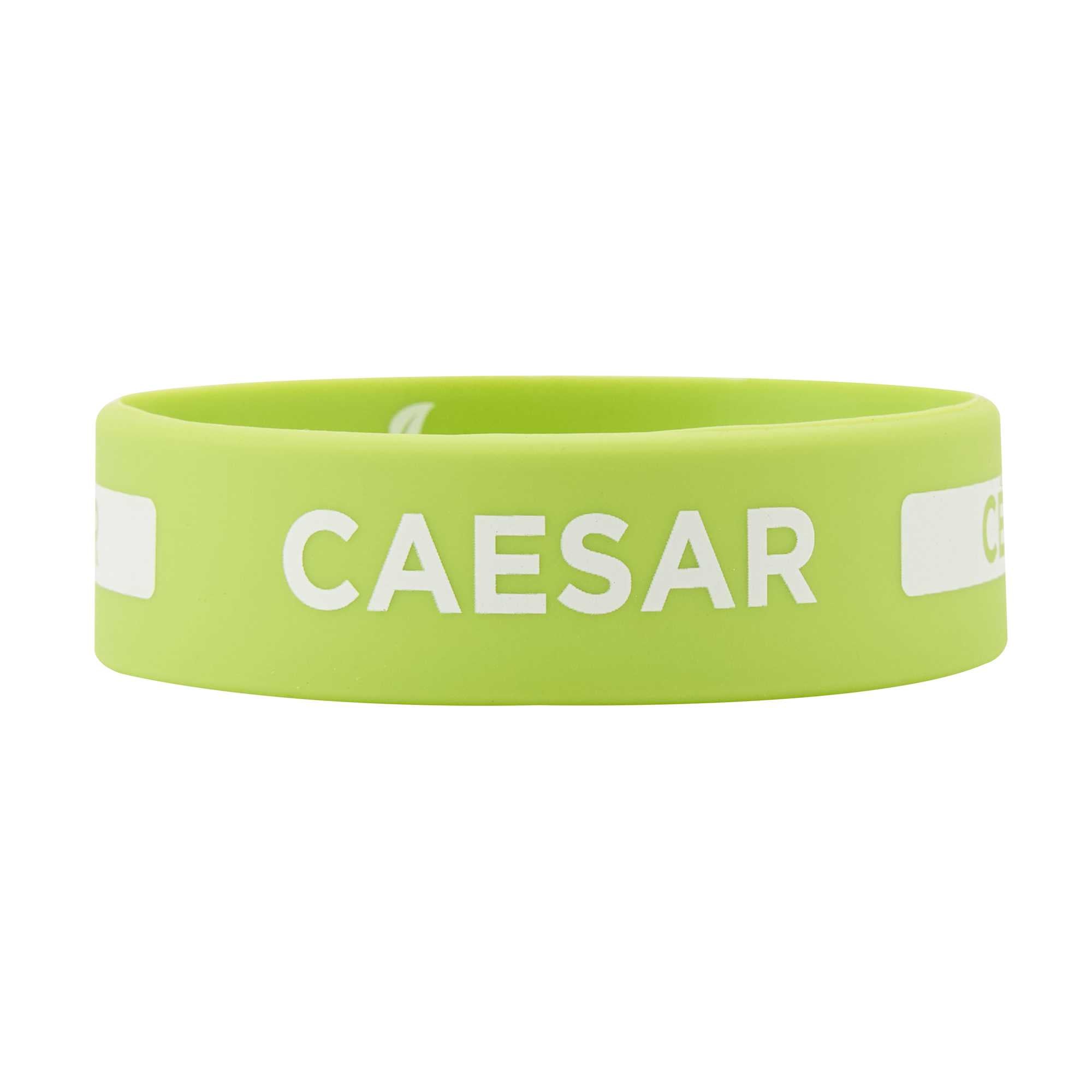 First In First Out Green Silicone Caesar Label Band - Fits 16, 20 and 24 oz Squeeze Bottles - 1 count box