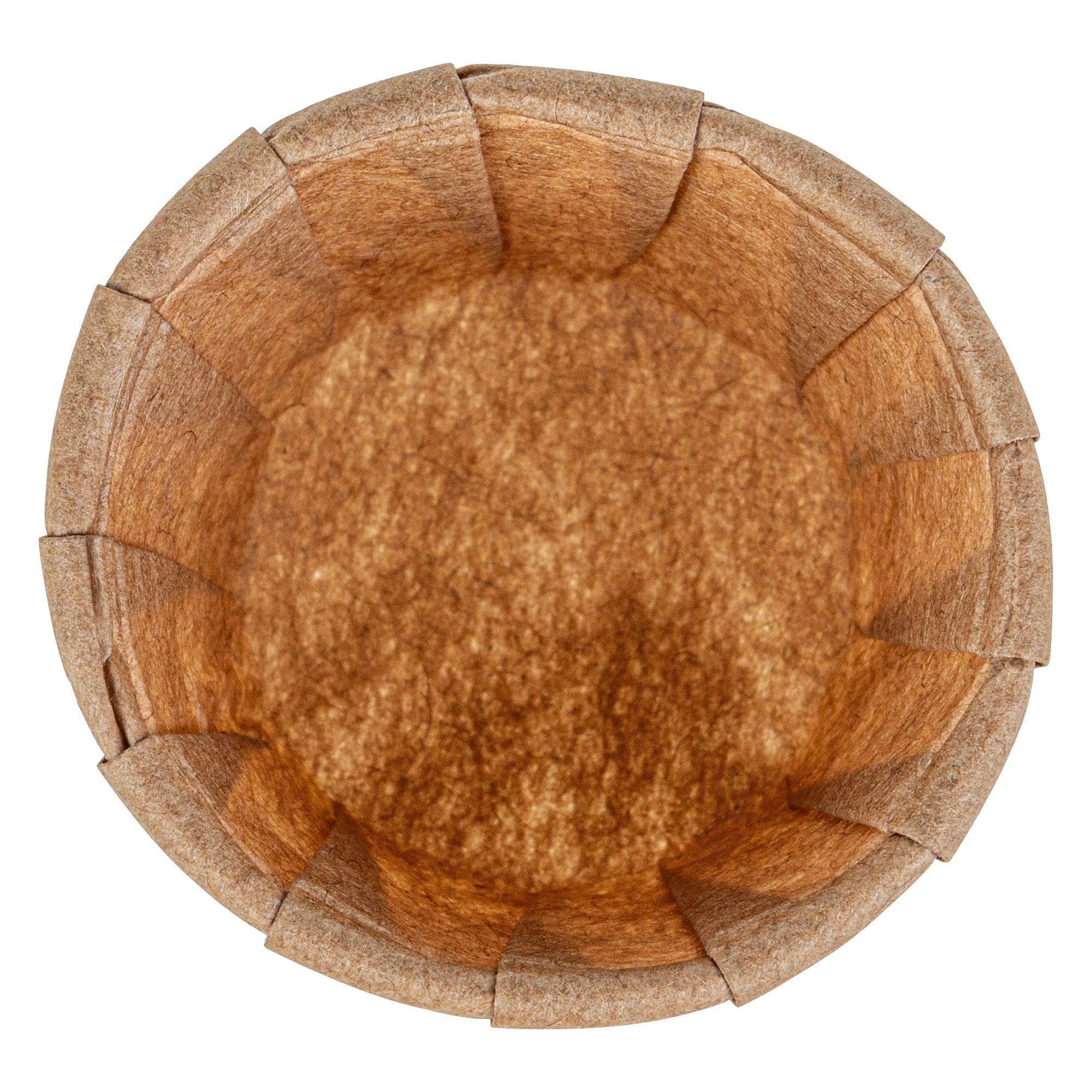 Sustain 0.5 oz Kraft Paper Portion Cup - Compostable - 2000 count box