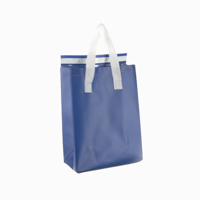 Bag Tek Blue Insulated Take Out Bag - Tamper-Evident - 8 1/4" x 4 1/4" x 10 3/4" - 100 count box