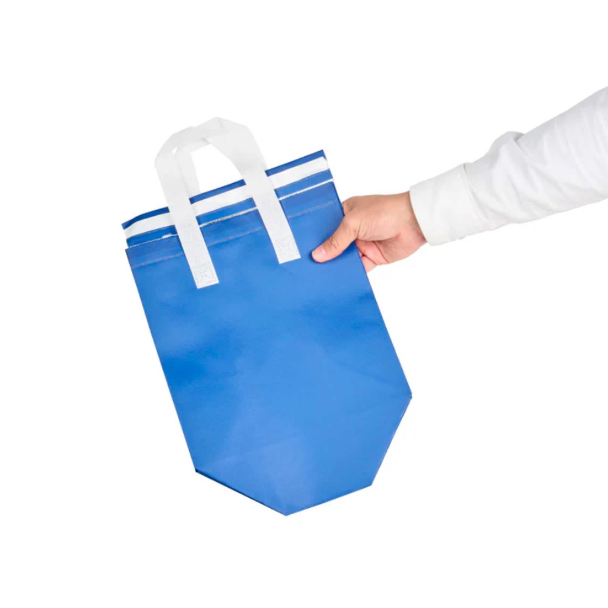 Bag Tek Blue Insulated Take Out Bag - Tamper-Evident - 9 1/2" x 6" x 10 1/4" - 25 count box