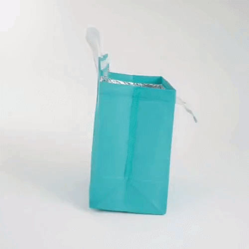 Bag Tek Teal Insulated Take Out Bag - Tamper-Evident - 9 1/2" x 6" x 10 1/4" - 25 count box