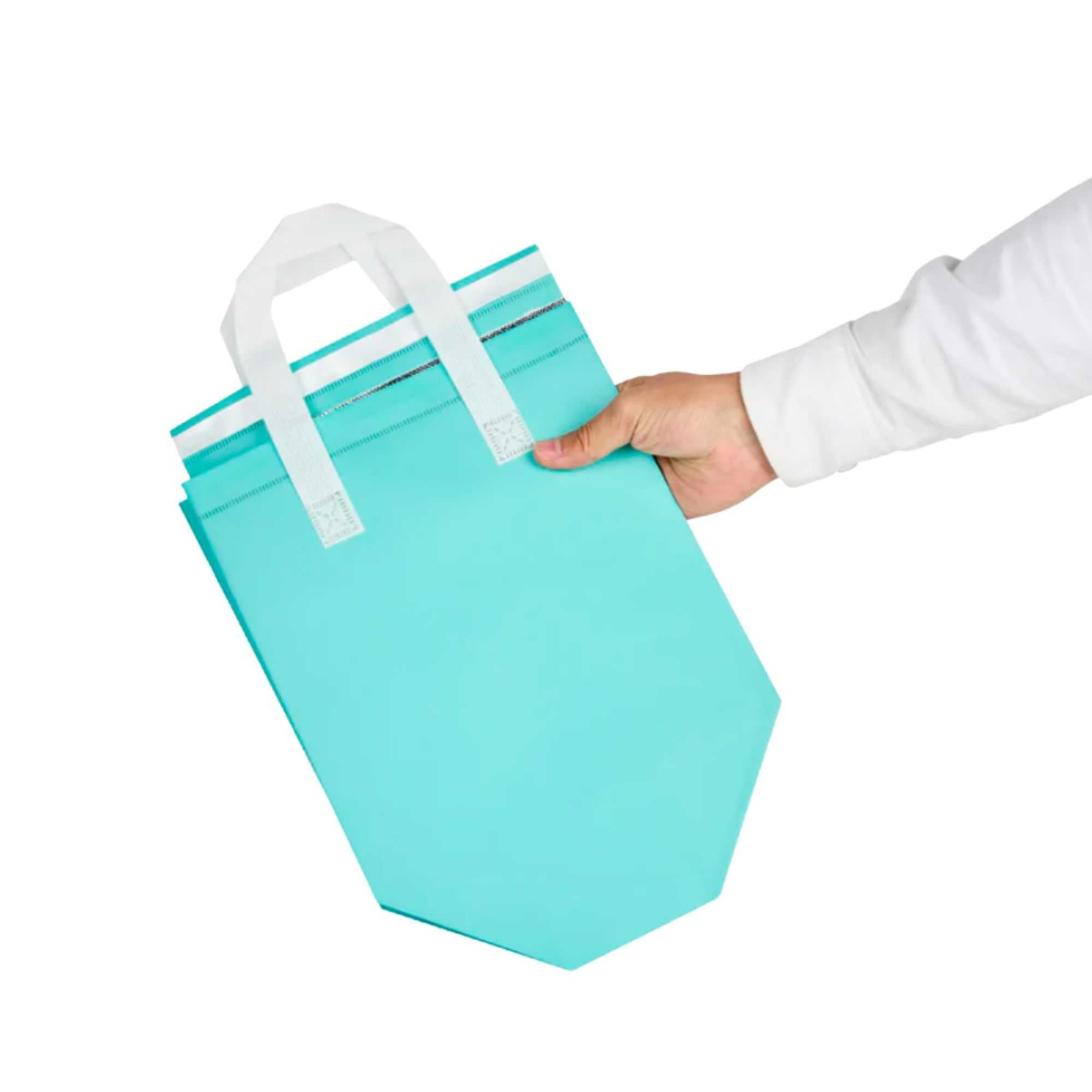 Bag Tek Teal Insulated Take Out Bag - Tamper-Evident - 9 1/2" x 6" x 10 1/4" - 100 count box