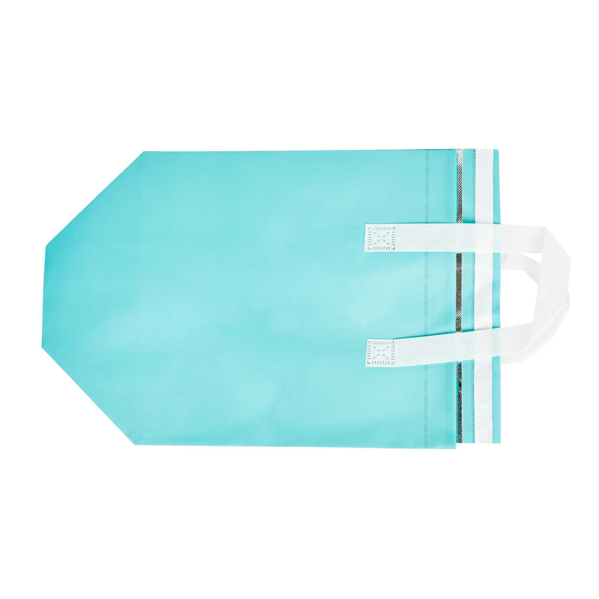 Bag Tek Teal Insulated Take Out Bag - Tamper-Evident - 10 1/4" x 6 3/4" x 11" - 25 count box