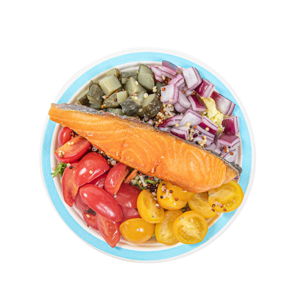 Pulp Safe No PFAS Added Round White Sugarcane / Bagasse Plate - Home Compostable, with Blue Rim - 6" x 6" - 100 count box