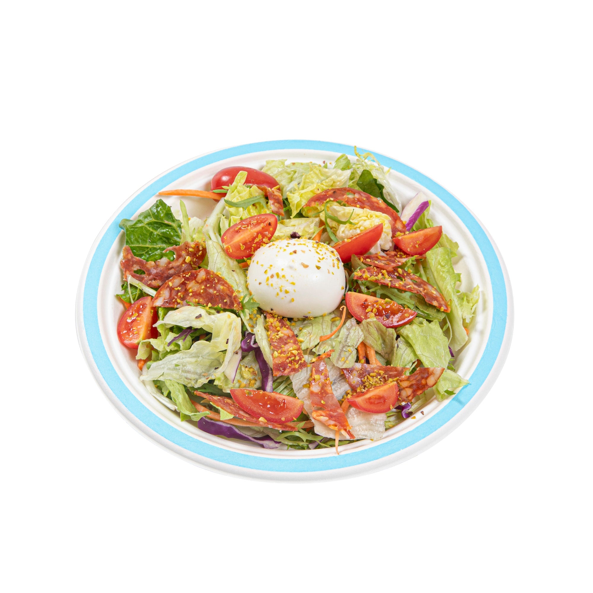 Pulp Safe No PFAS Added Round White Sugarcane / Bagasse Plate - Home Compostable, with Blue Rim - 8 3/4" x 8 3/4" - 100 count box