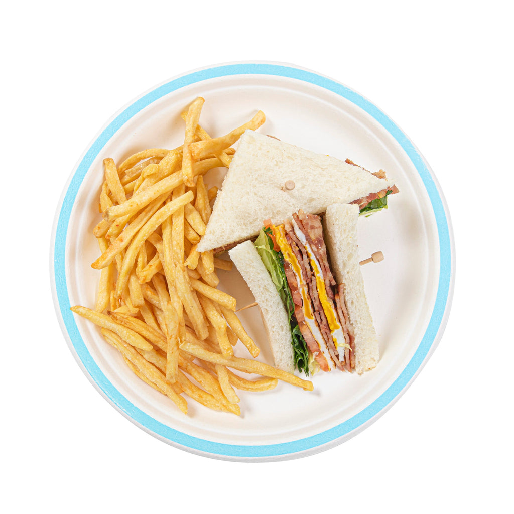 Pulp Safe No PFAS Added Round White Sugarcane / Bagasse Plate - Home Compostable, with Blue Rim - 10 1/4" x 10 1/4" - 100 count box
