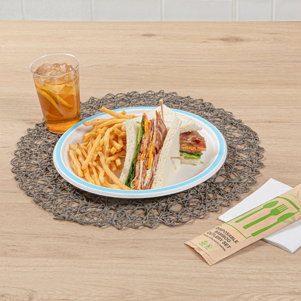 Pulp Safe No PFAS Added Round White Sugarcane / Bagasse Plate - Home Compostable, with Blue Rim - 10 1/4" x 10 1/4" - 100 count box