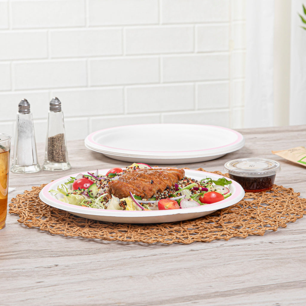 Pulp Safe No PFAS Added Round White Sugarcane / Bagasse Plate - Home Compostable, with Pink Rim - 10 1/4" x 10 1/4" - 100 count box