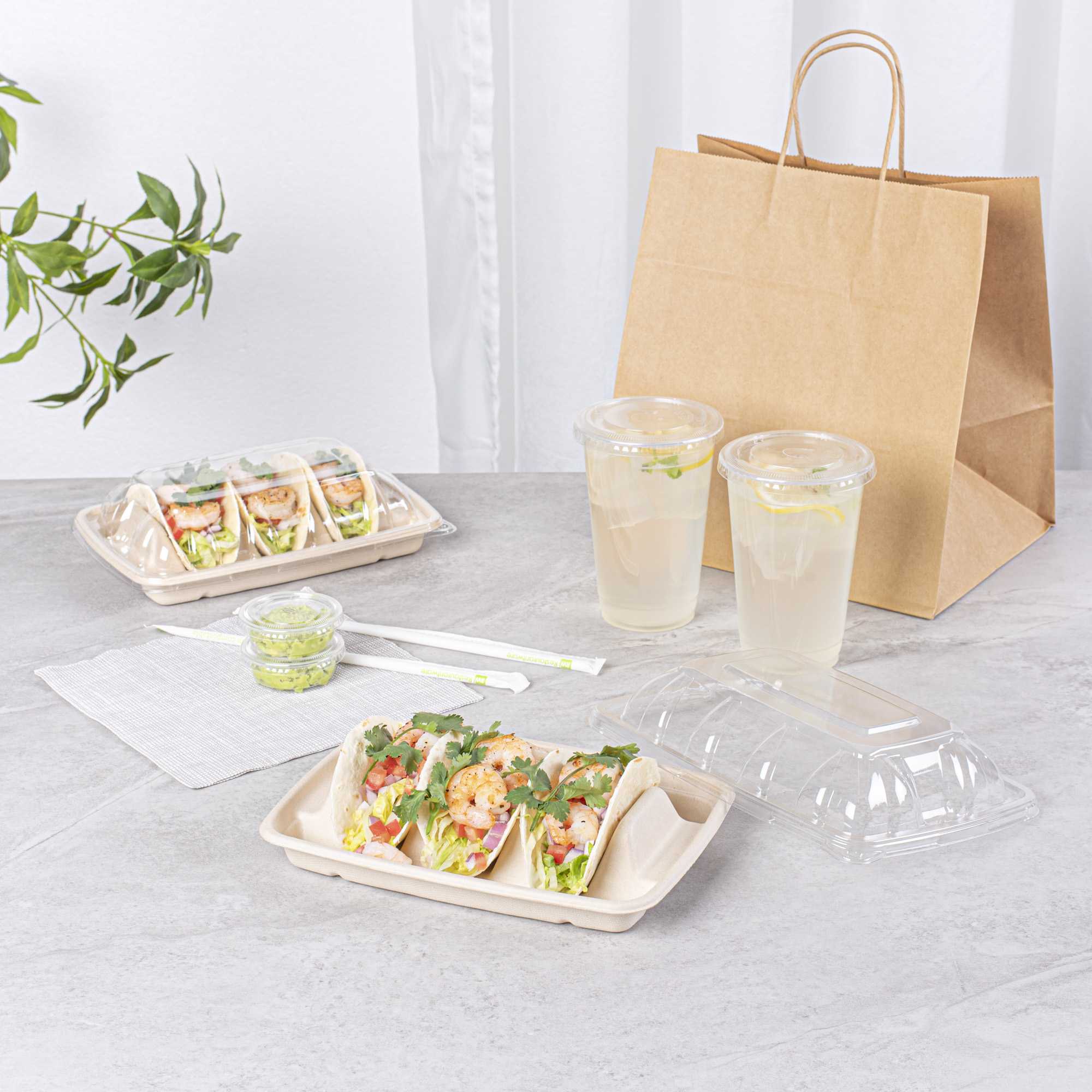 Pulp Safe No PFAS Added Natural Sugarcane / Bagasse Taco Holder Tray - 3 Dividers, Home Compostable - 9" x 6 1/2" x 1 3/4" - 100 count box