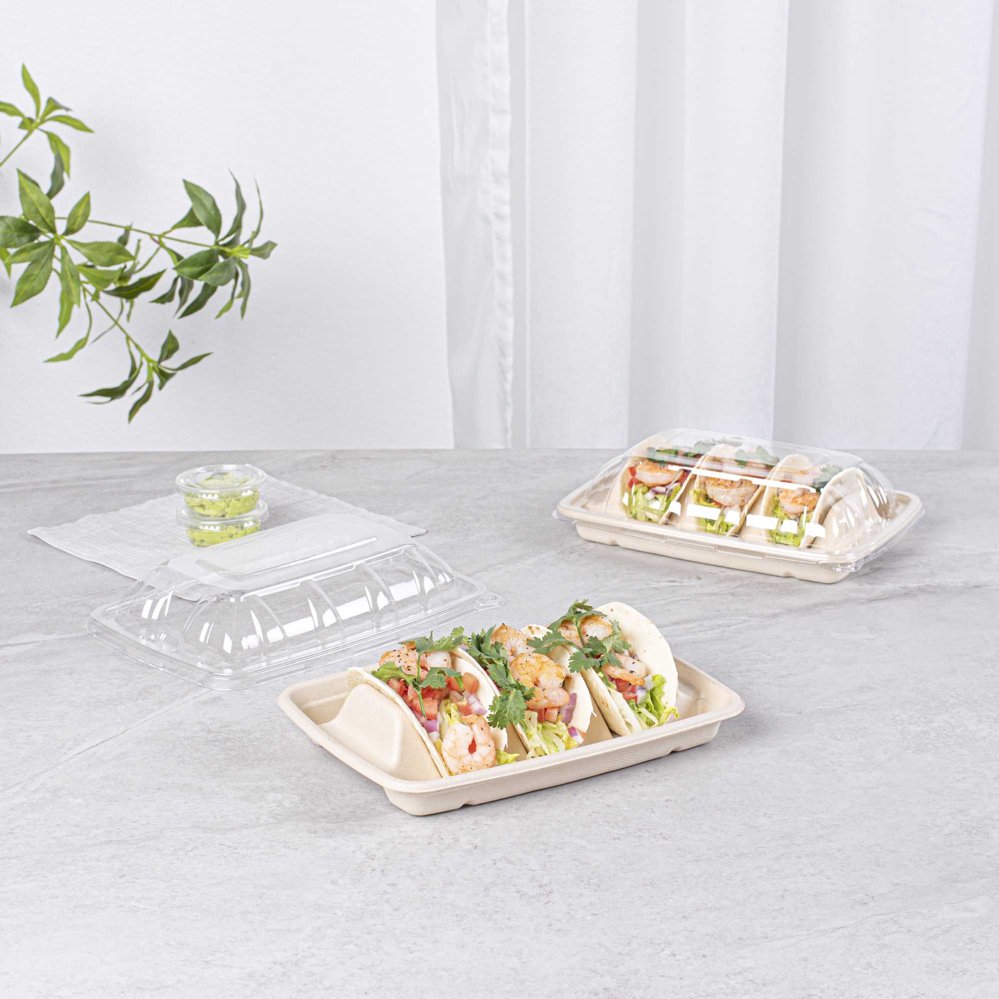 Pulp Safe No PFAS Added Natural Sugarcane / Bagasse Taco Holder Tray - 3 Dividers, Home Compostable - 9" x 6 1/2" x 1 3/4" - 50 count box