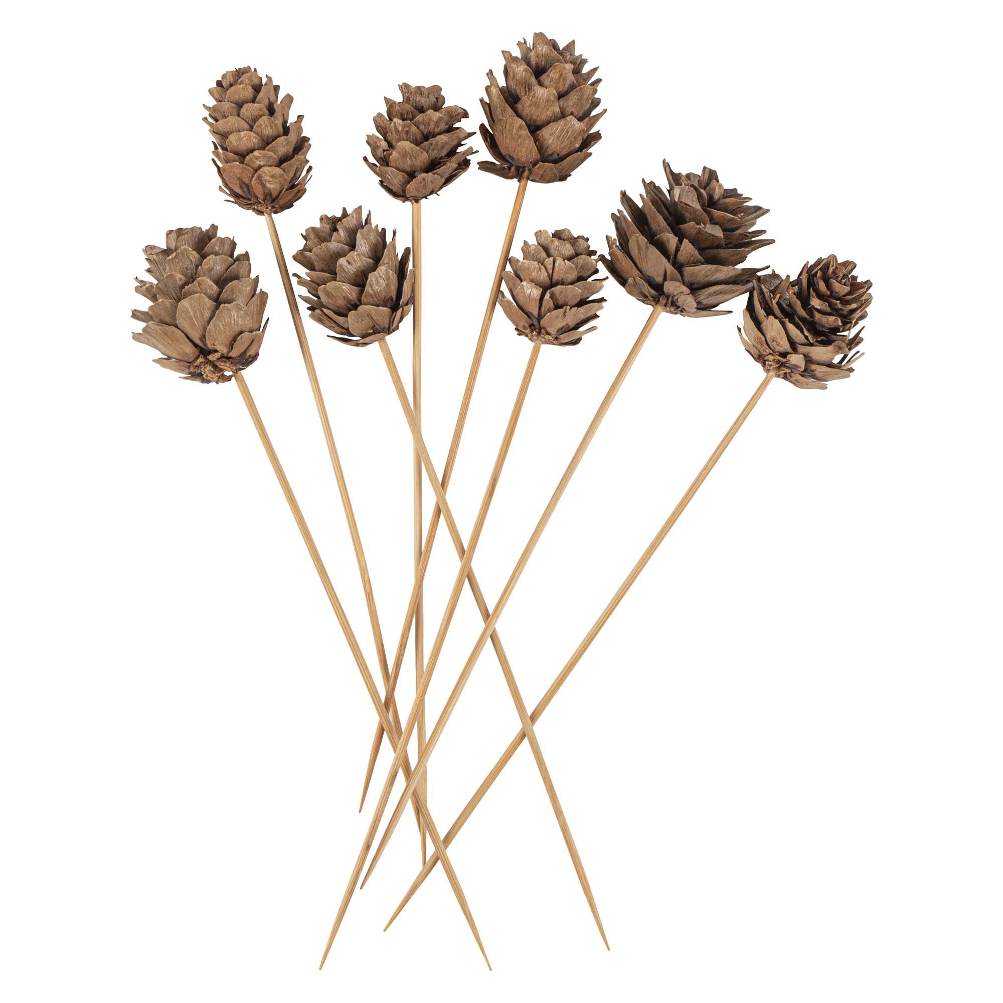 Pixy Natural Bamboo Mini Pine Cone Skewer - 6" x 3/4" x 3/4" - 500 count box