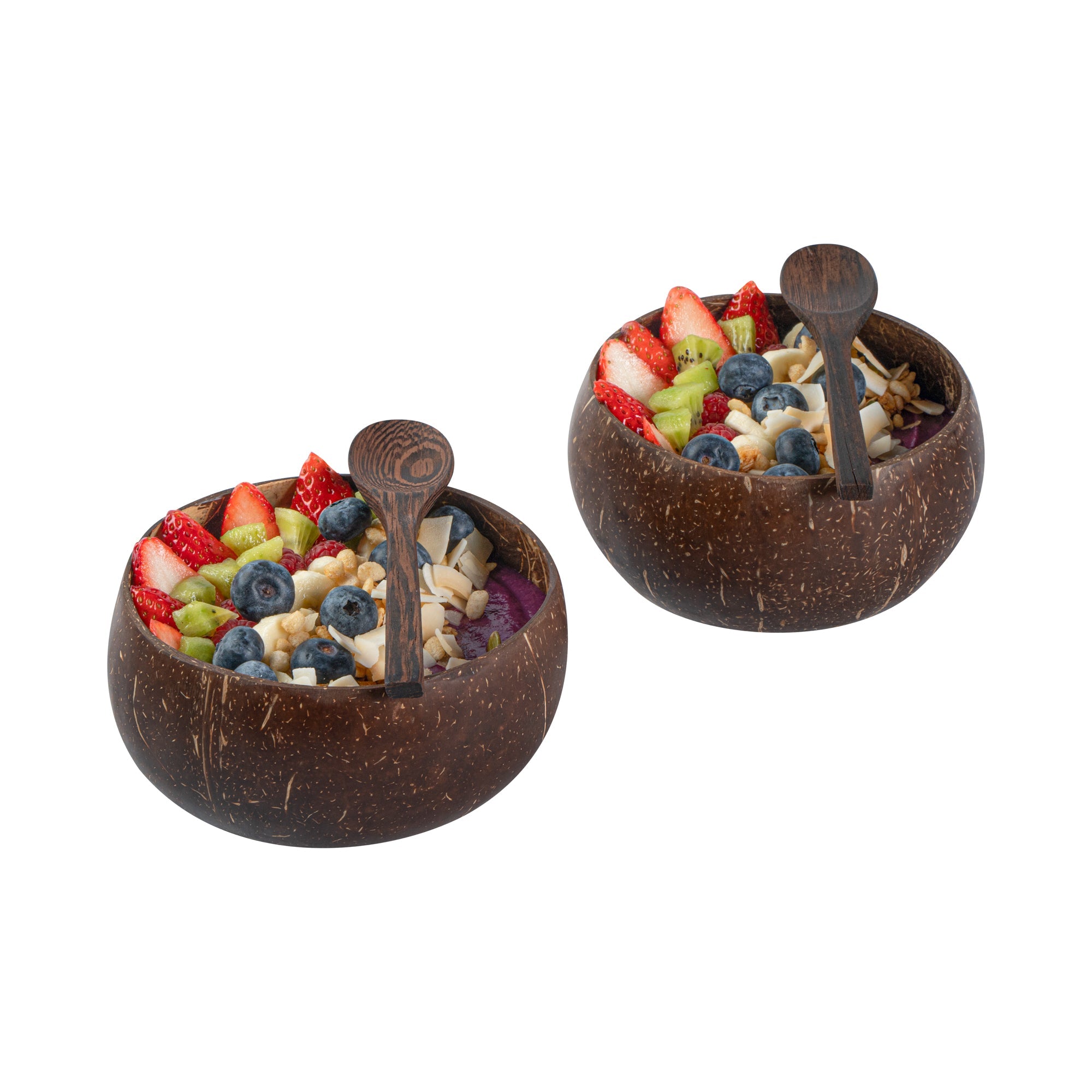 Coco Casa 4-Piece Handmade Coconut Bowl and Wooden Spoon Set - 10 count box