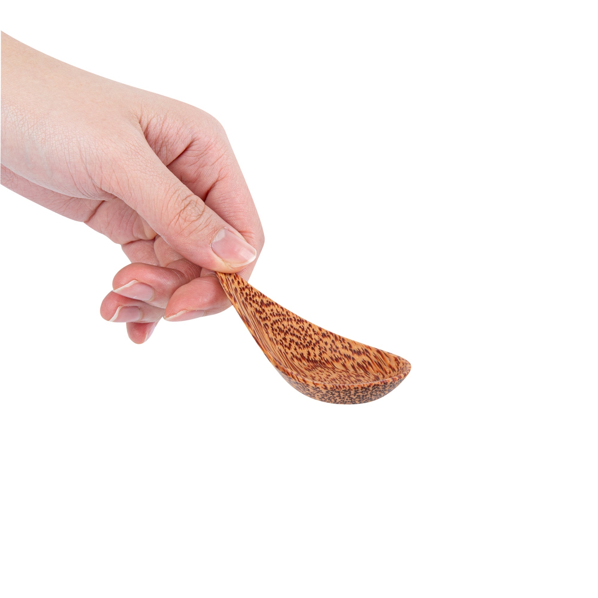 Coco Casa Natural Handmade Teardrop Coconut Spoon - 3 1/4" x 1 1/2" - 4 count box