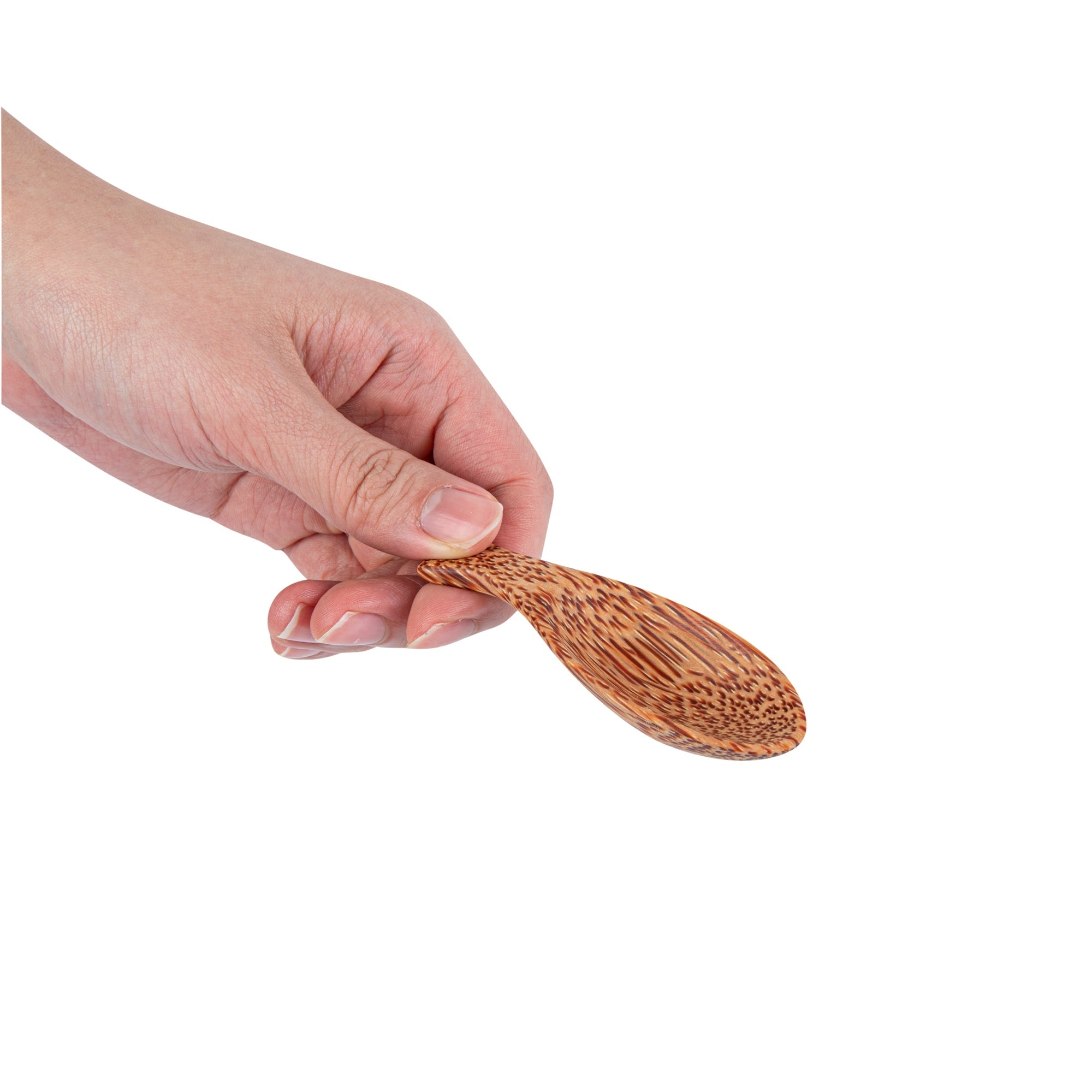 Coco Casa Natural Handmade Coconut Spoon / Scoop - 3 1/2" x 1 1/4" - 40 count box