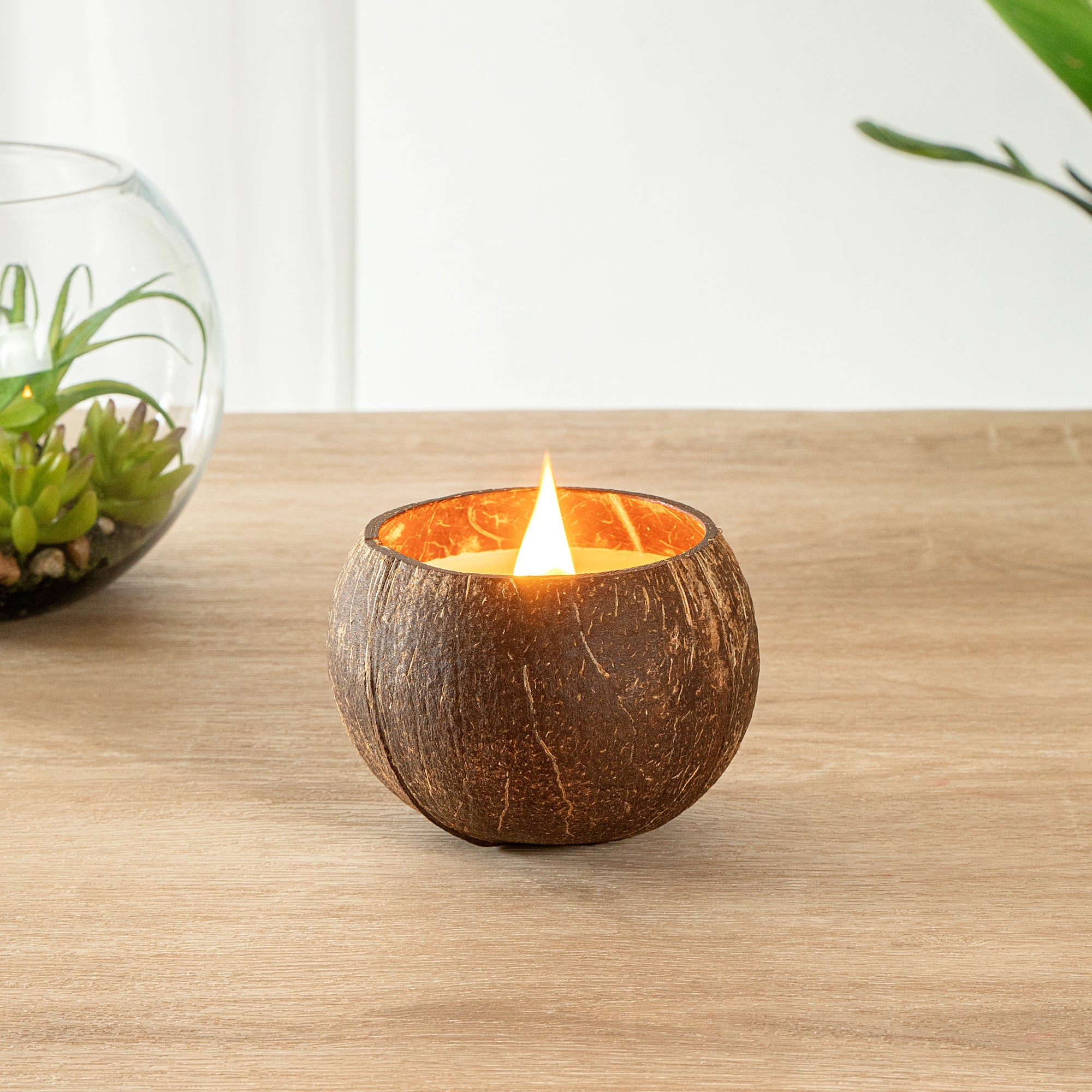 Coco Casa Handmade Coconut Shell Candle - Spring Hydrangea - 4" x 4" x 2 3/4" - 10 count box