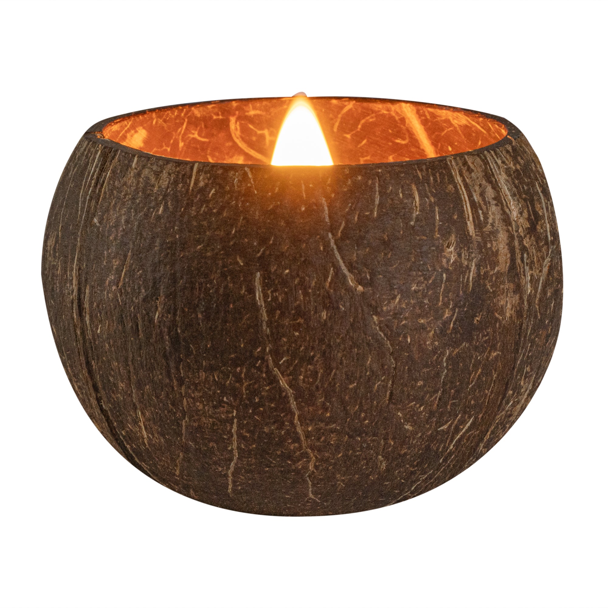 Coco Casa Handmade Coconut Shell Candle - Jasmine - 4" x 4" x 2 3/4" - 10 count box
