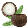 Coco Casa Handmade Coconut Shell Candle - Pineapple Papaya - 4" x 4" x 2 3/4" - 1 count box