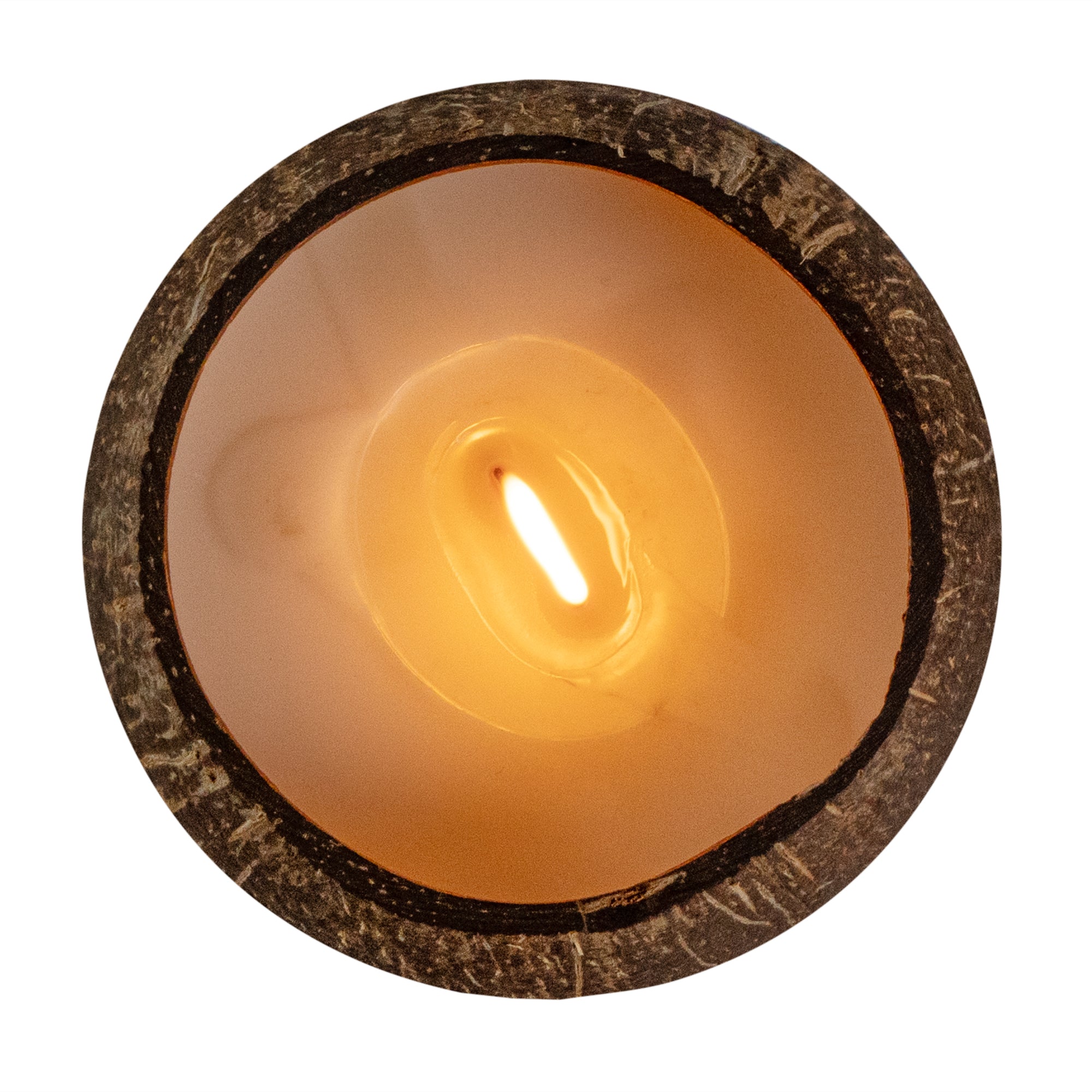 Coco Casa Handmade Coconut Shell Candle - Sandalwood and Shea - 4" x 4" x 2 3/4" - 1 count box