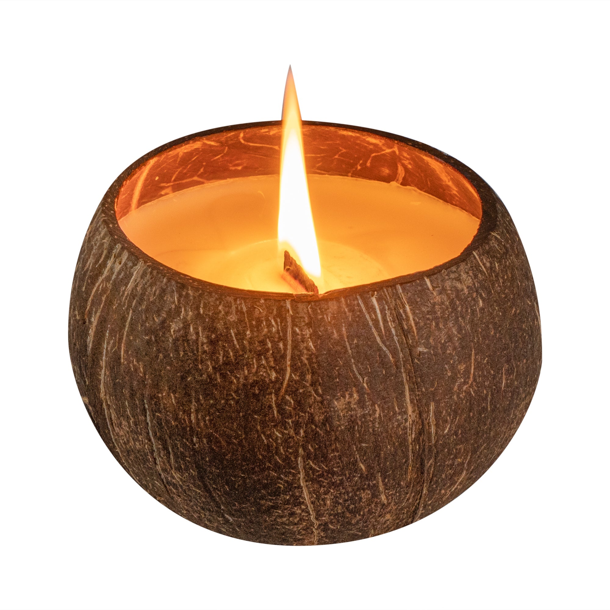 Coco Casa Handmade Coconut Shell Candle - Sandalwood and Shea - 4" x 4" x 2 3/4" - 10 count box