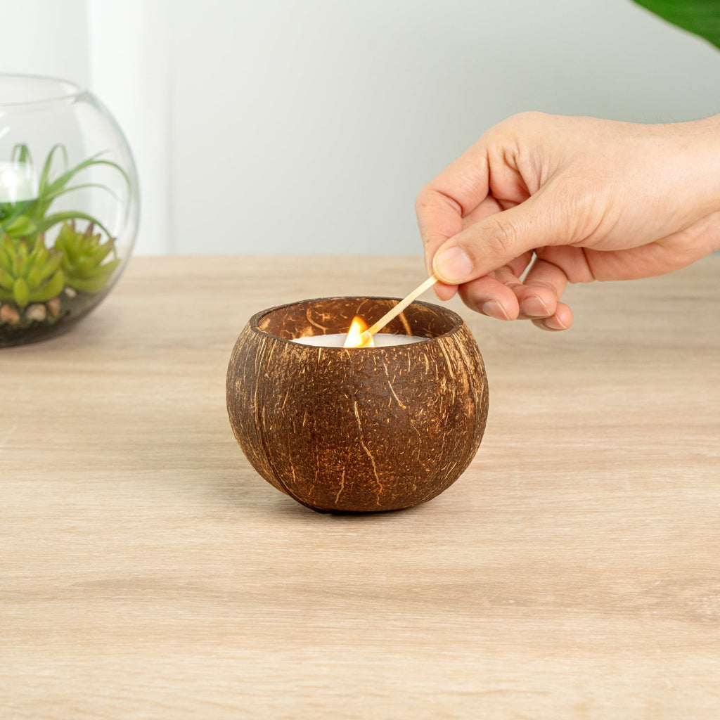 Coco Casa Handmade Coconut Shell Candle - Lavender - 4" x 4" x 2 3/4" - 10 count box