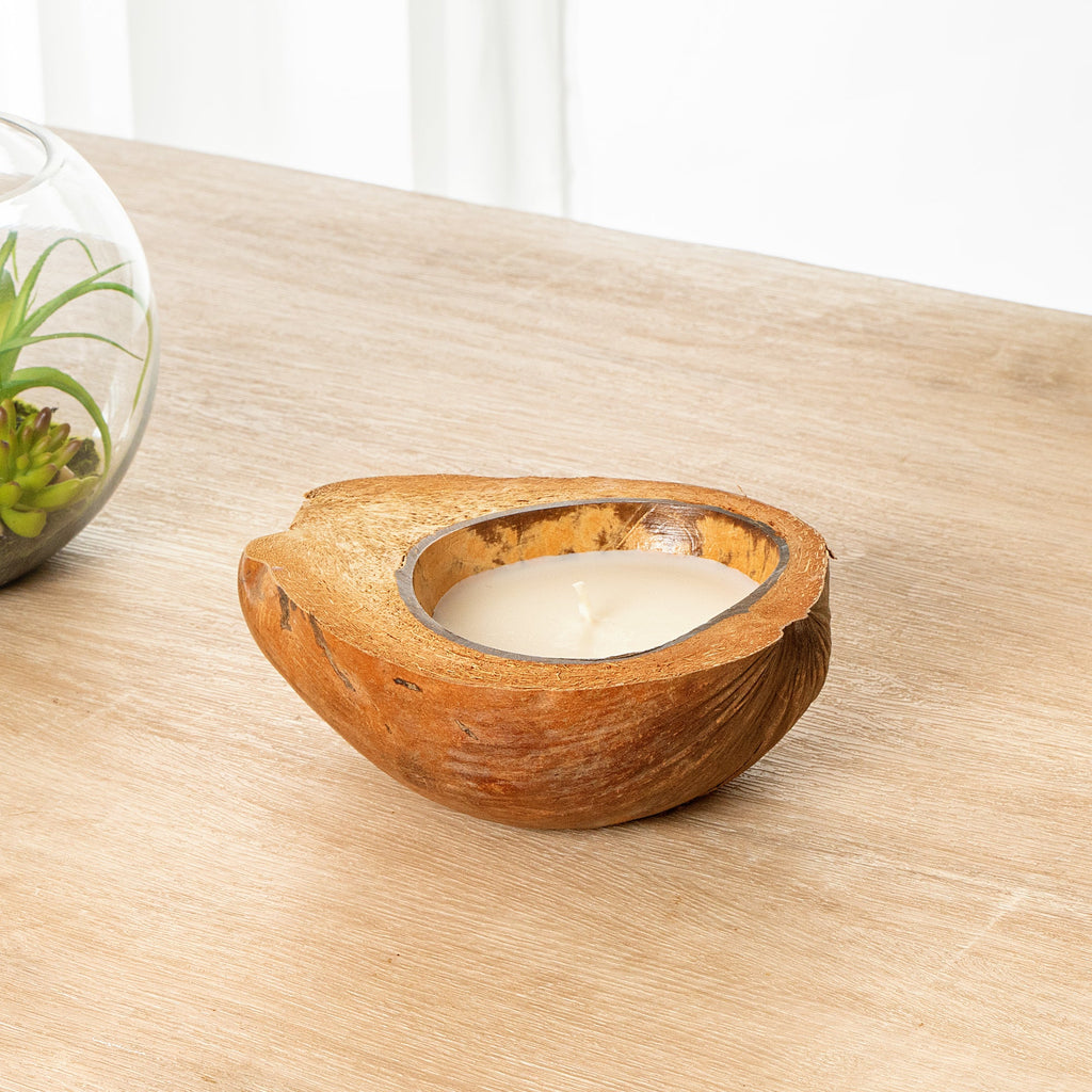Coco Casa Handmade Coconut Shell Husk Candle - Coconut Mango - 6 1/2" x 6 1/2" x 2 1/2" - 1 count box