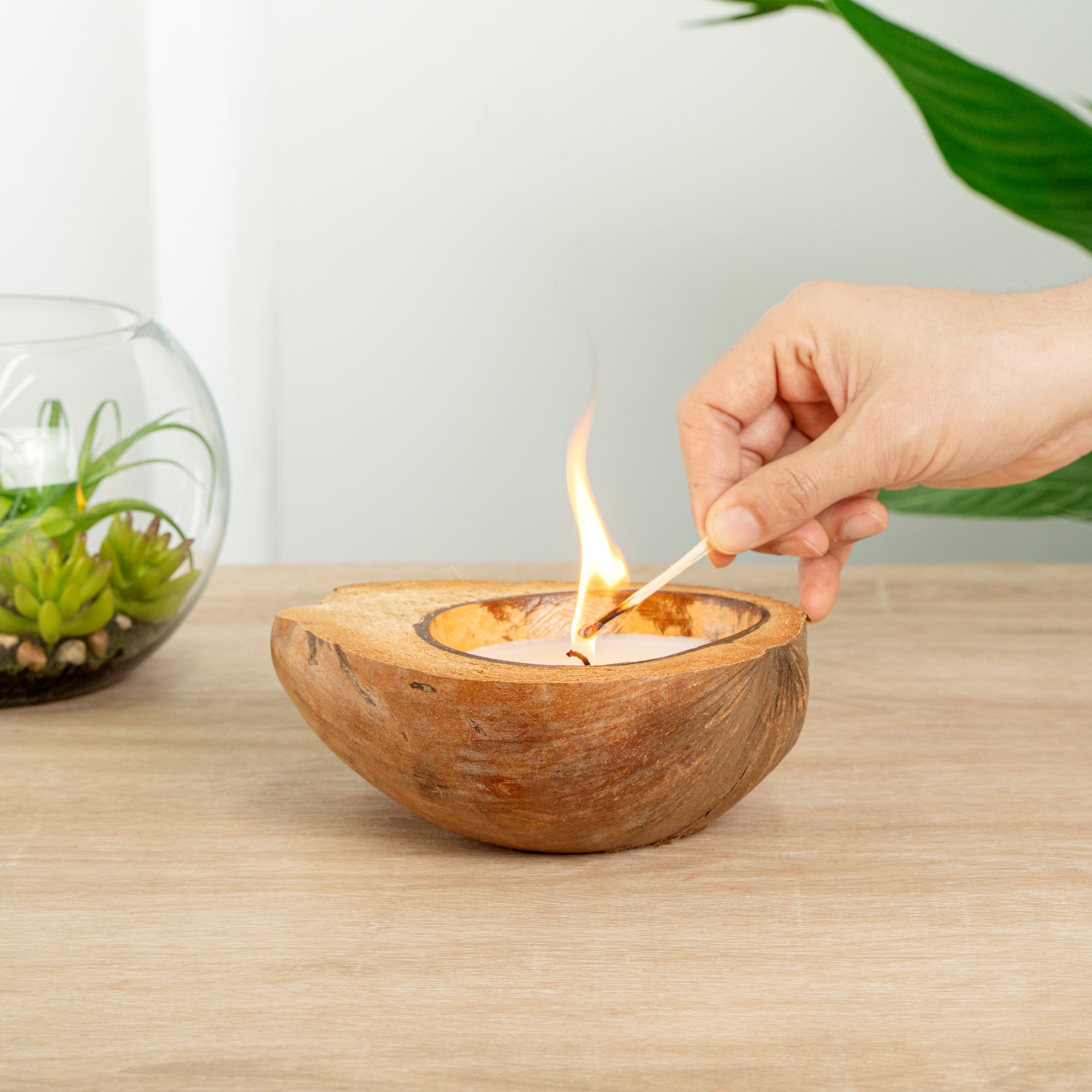 Coco Casa Handmade Coconut Shell Husk Candle - Coconut Mango - 6 1/2" x 6 1/2" x 2 1/2" - 1 count box