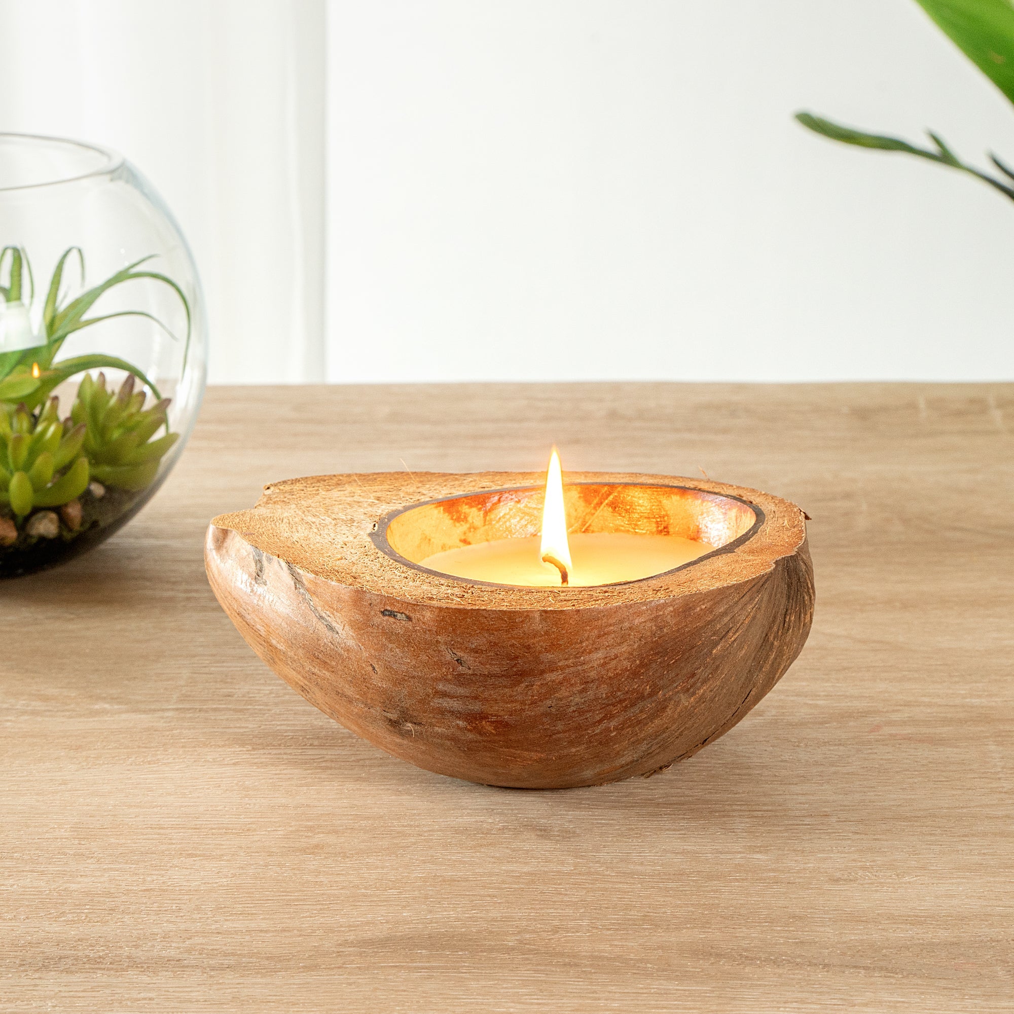 Coco Casa Handmade Coconut Shell Husk Candle - Coconut Mango - 6 1/2" x 6 1/2" x 2 1/2" - 1 count box
