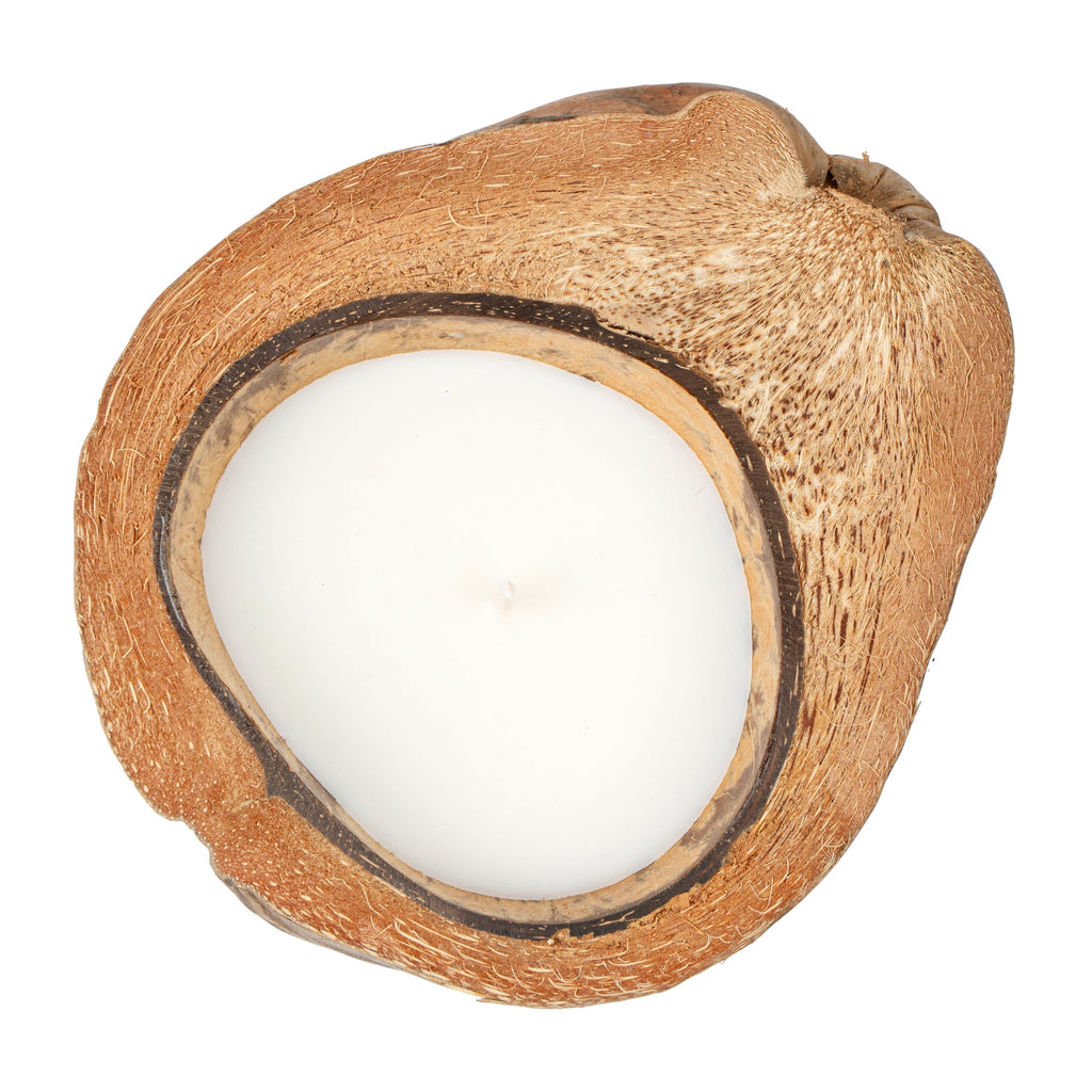 Coco Casa Handmade Coconut Shell Husk Candle - Cinnamon - 6 1/2" x 6 1/2" x 2 1/2" - 10 count box