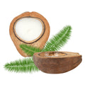 Coco Casa Handmade Coconut Shell Husk Candle - Spring Hydrangea - 6 1/2" x 6 1/2" x 2 1/2" - 1 count box