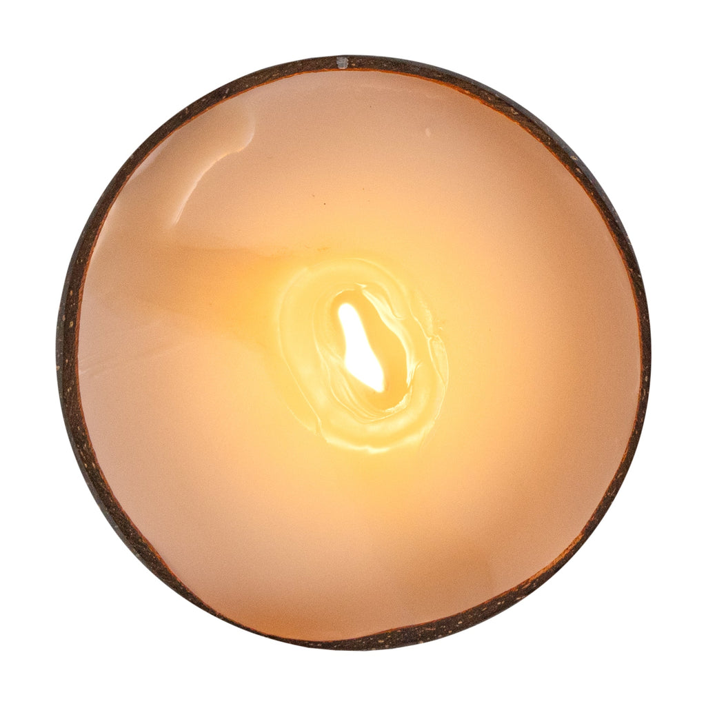 Coco Casa Handmade Coconut Candle Bowl - Sandalwood and Shea - 4" x 4" x 2 3/4" - 10 count box