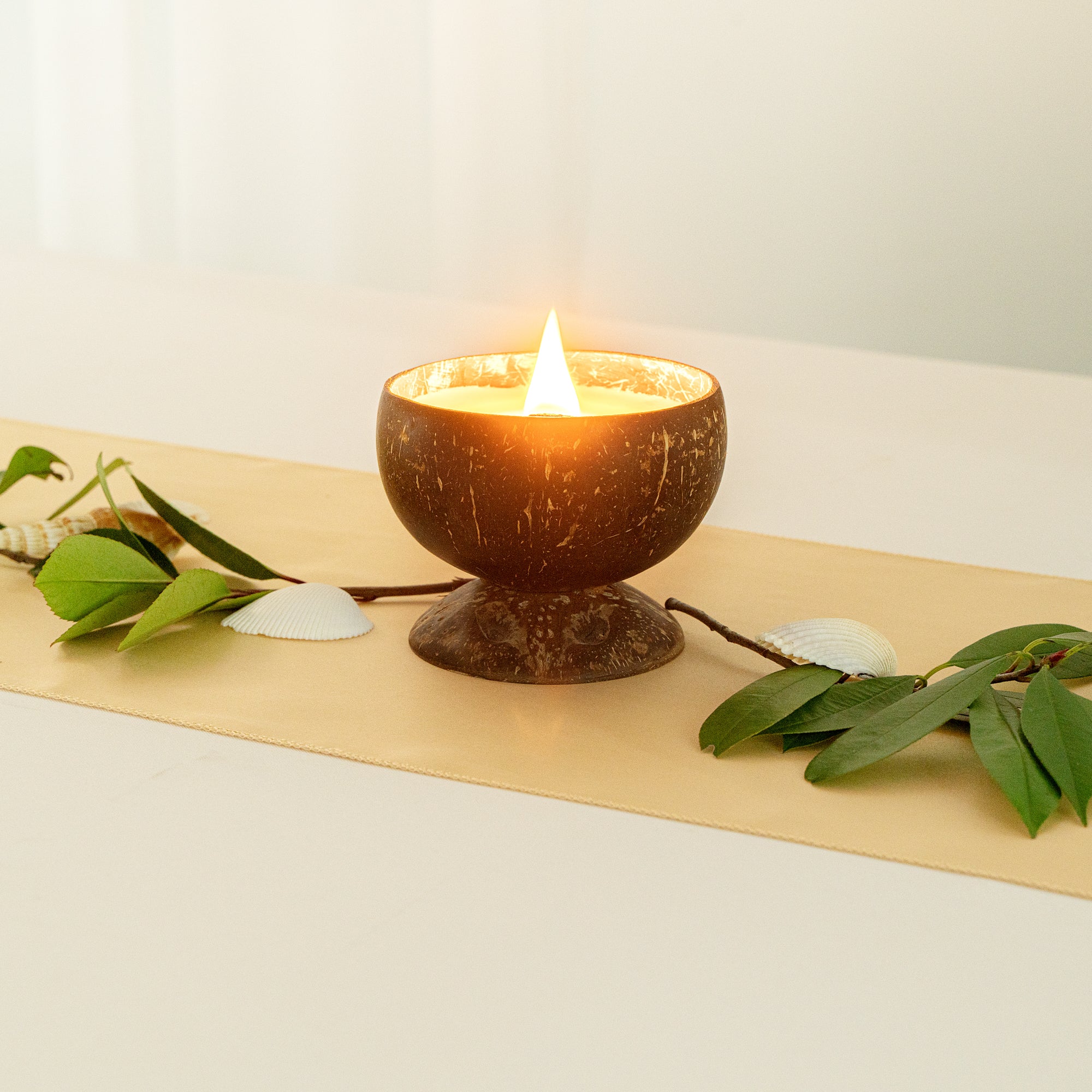 Coco Casa Handmade Coconut Candle Bowl - Sandalwood and Shea - 4" x 4" x 2 3/4" - 10 count box