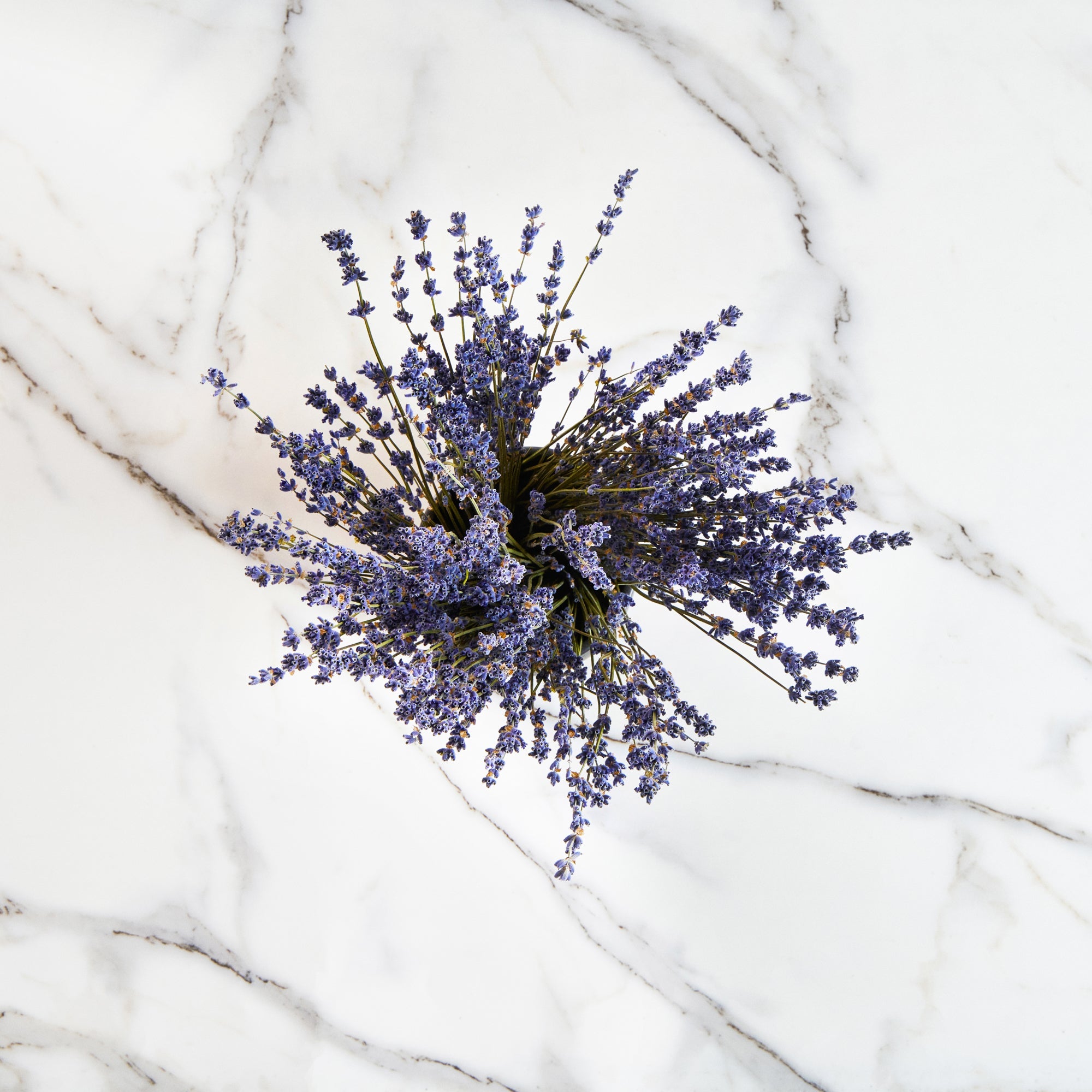 Table Art Black Ceramic Tea Cup Vase - 4 1/2'' x 4 1/2'' x 5'' - 1 count box