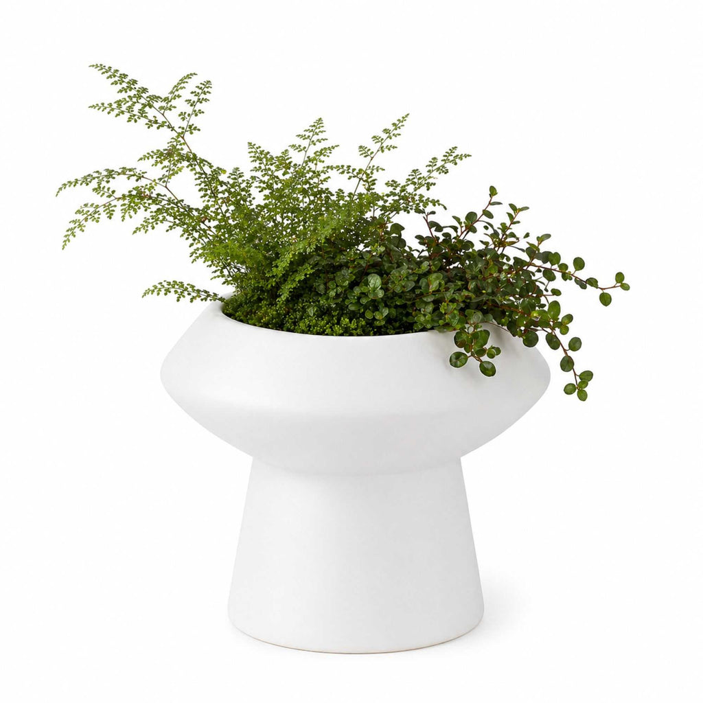 Table Art White Ceramic Mushroom Vase - 6 1/4'' x 6 1/4'' x 6'' - 1 count box