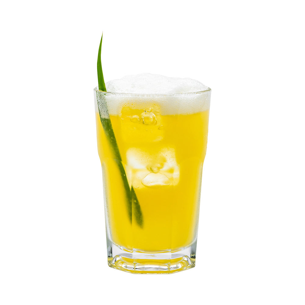 Otto 10 oz Highball Glass - 3" x 3" x 4 3/4" - 6 count box
