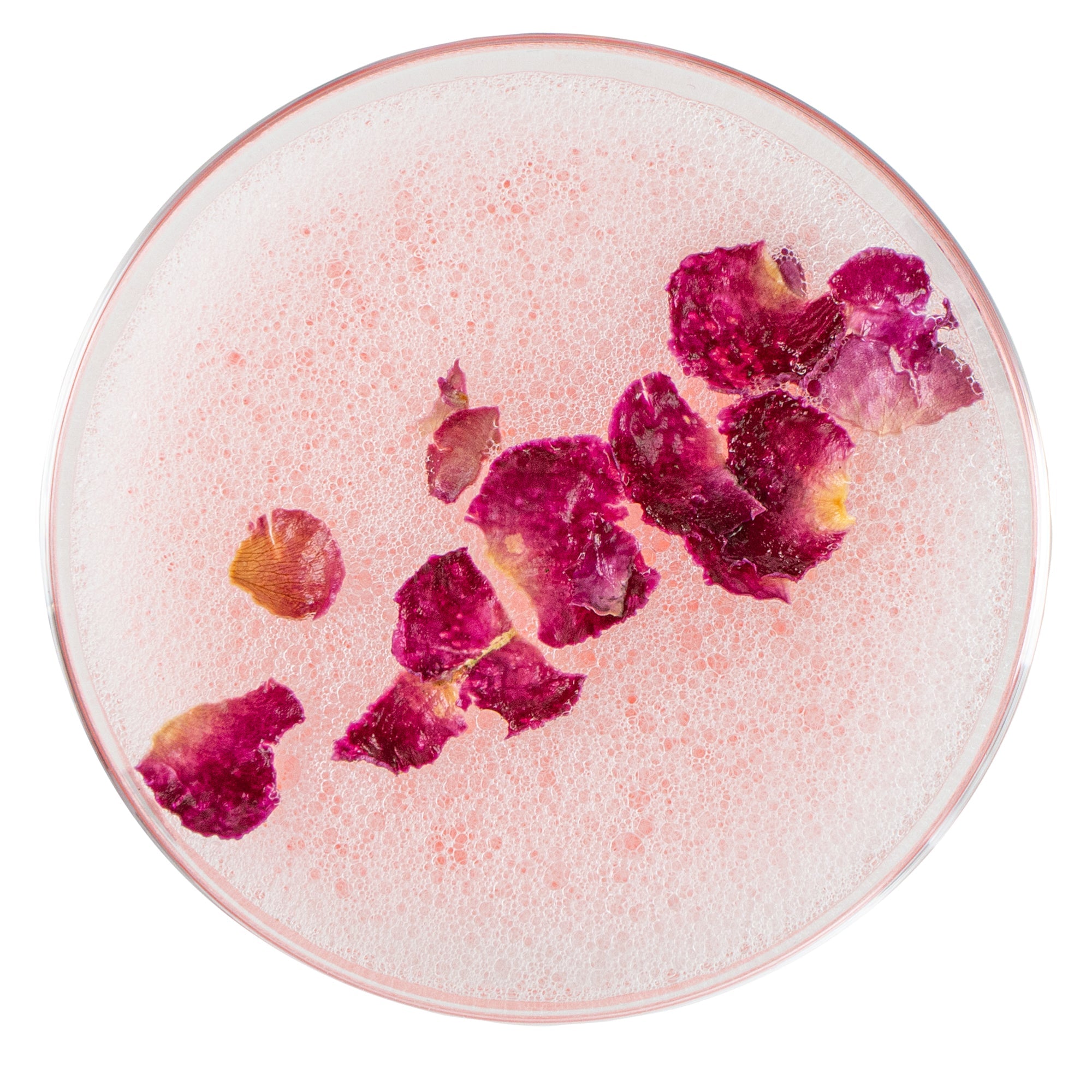 Vetri 8 oz Rose / Cocktail Glass - 3 1/4" x 3 1/4" x 5 3/4" - 6 count box