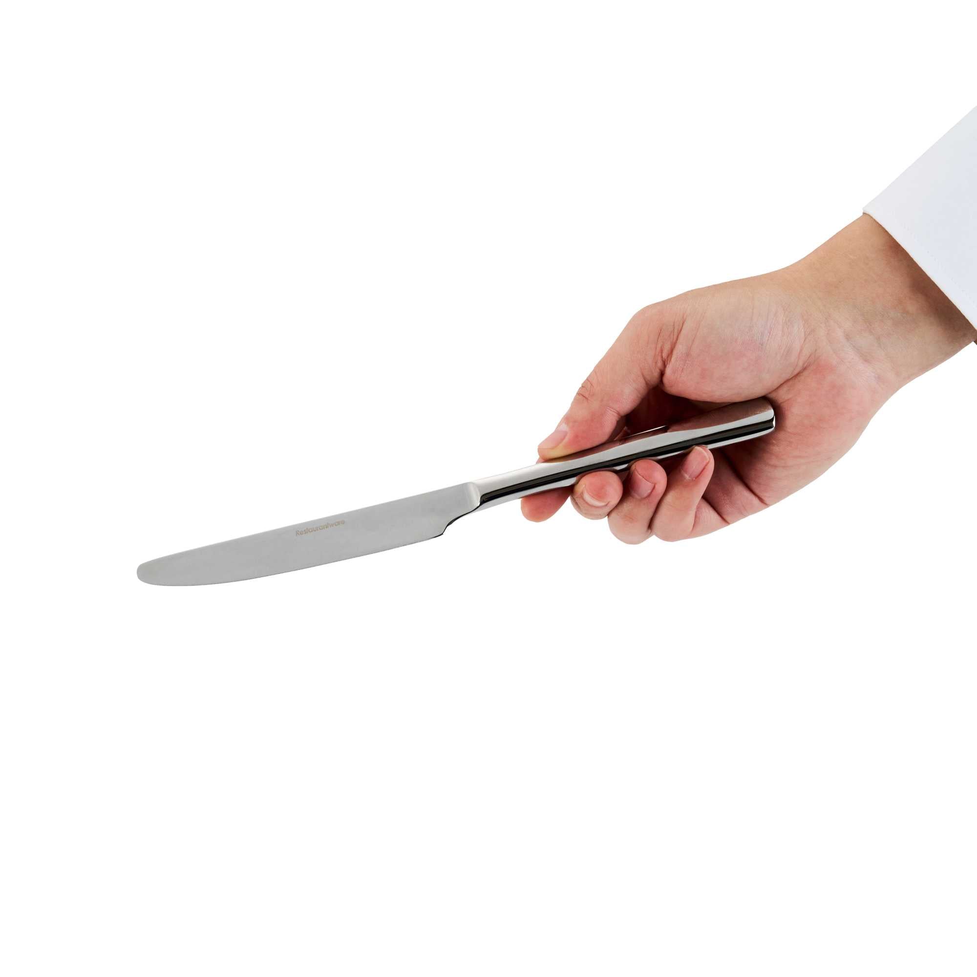 Speculo 13/0 Stainless Steel Table Knife - 9" - 2 count box