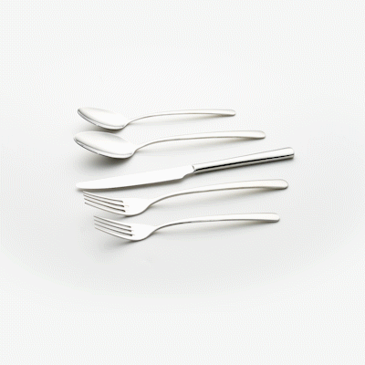 Speculo 18/10 Stainless Steel Flatware Set - with Service for 2 - 10 count box
