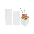 Mini Serve 4 oz Square White Plastic Tall Quadrato Cup - 2" x 2 3/4" x 2" - 100 count box