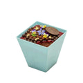 Mini Serve 2 oz Square Baby Blue Plastic Mini Kova Cup - Limited Edition - 2" x 2" x 1 3/4" - 100 count box