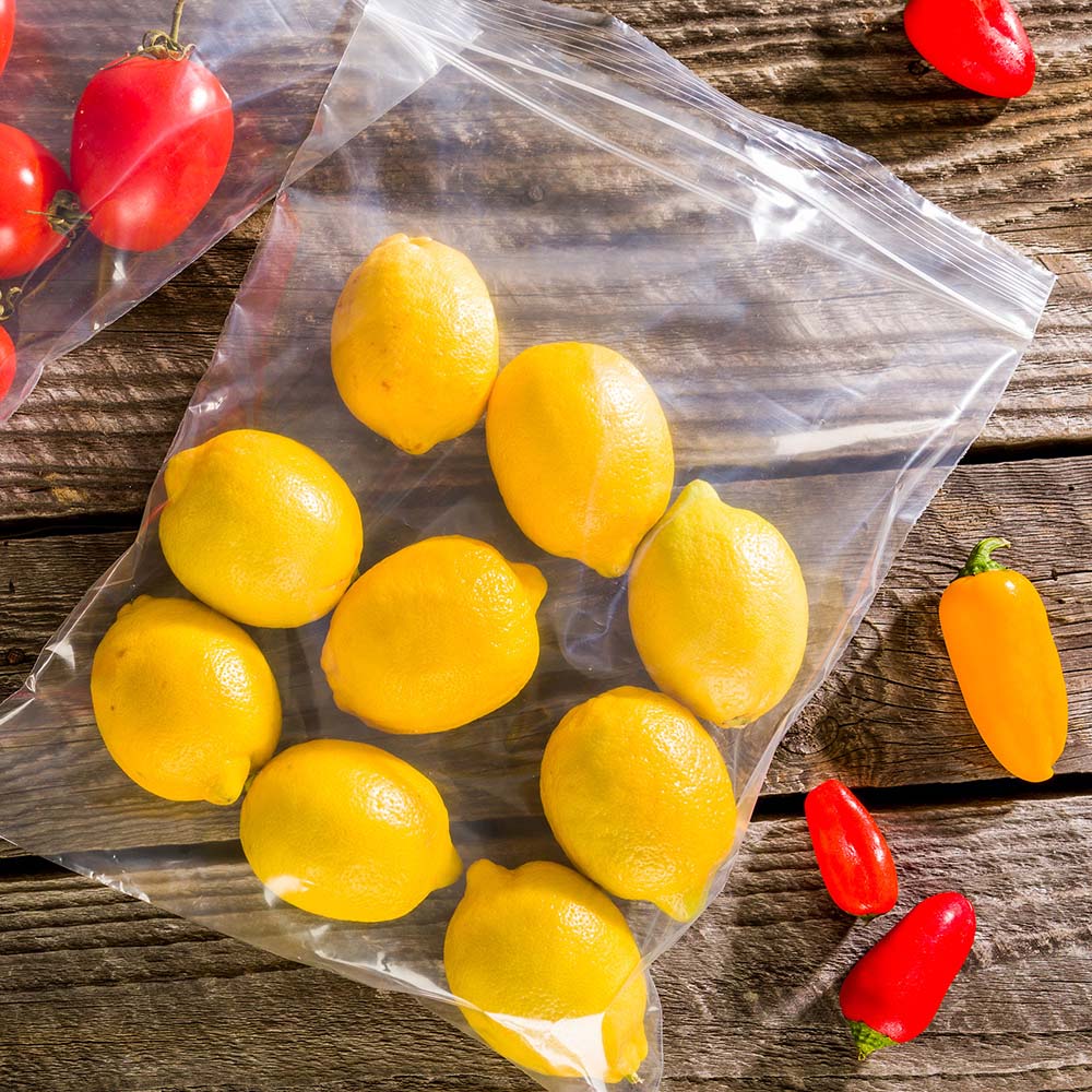 Bag Tek Clear Plastic Zip Bag - BPA-Free, High Clarity - 10" x 12" - 100 count box