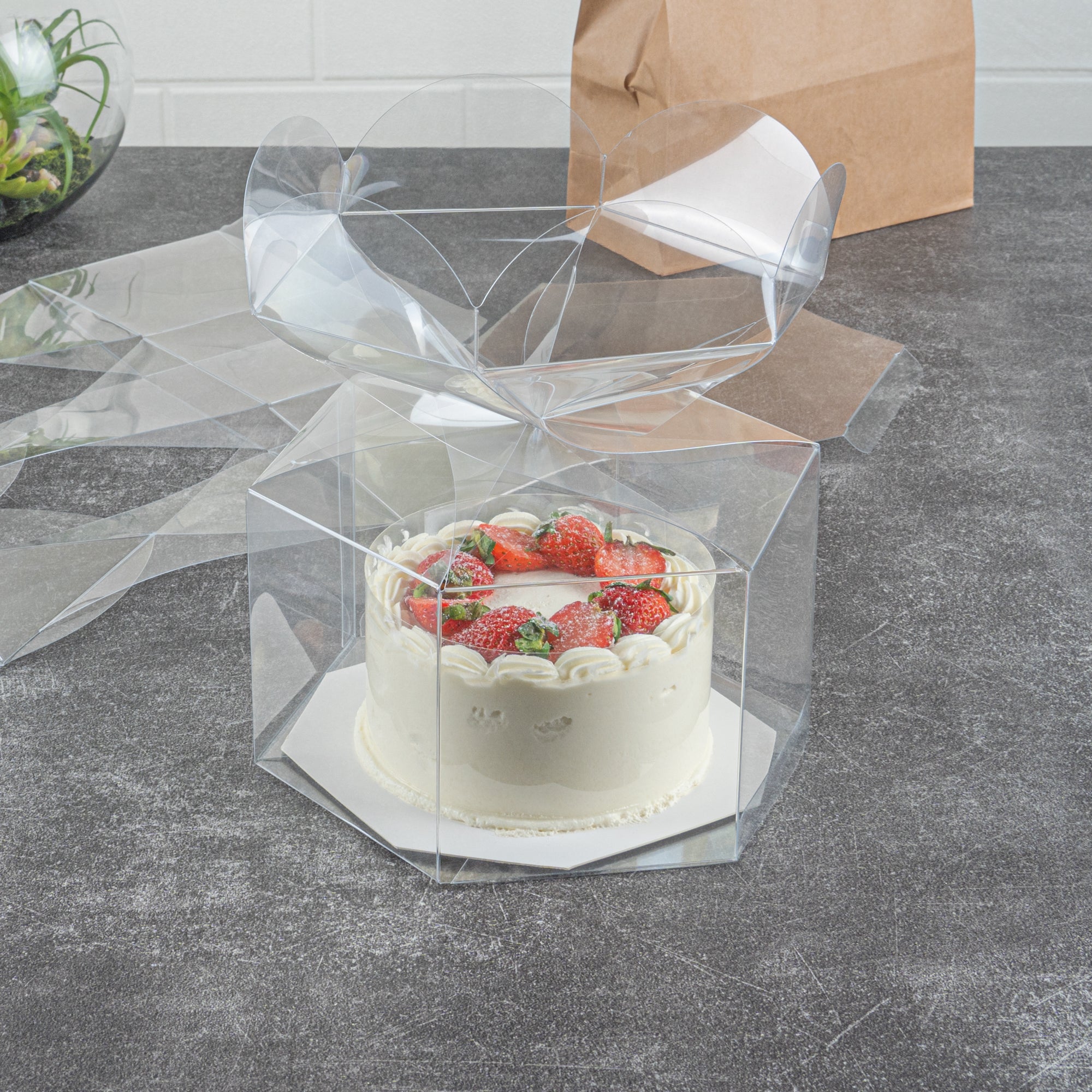Sweet Vision Clear Plastic Gift Box - Flower Top - 6 1/2" x 7 1/2" x 7 3/4" - 100 count box
