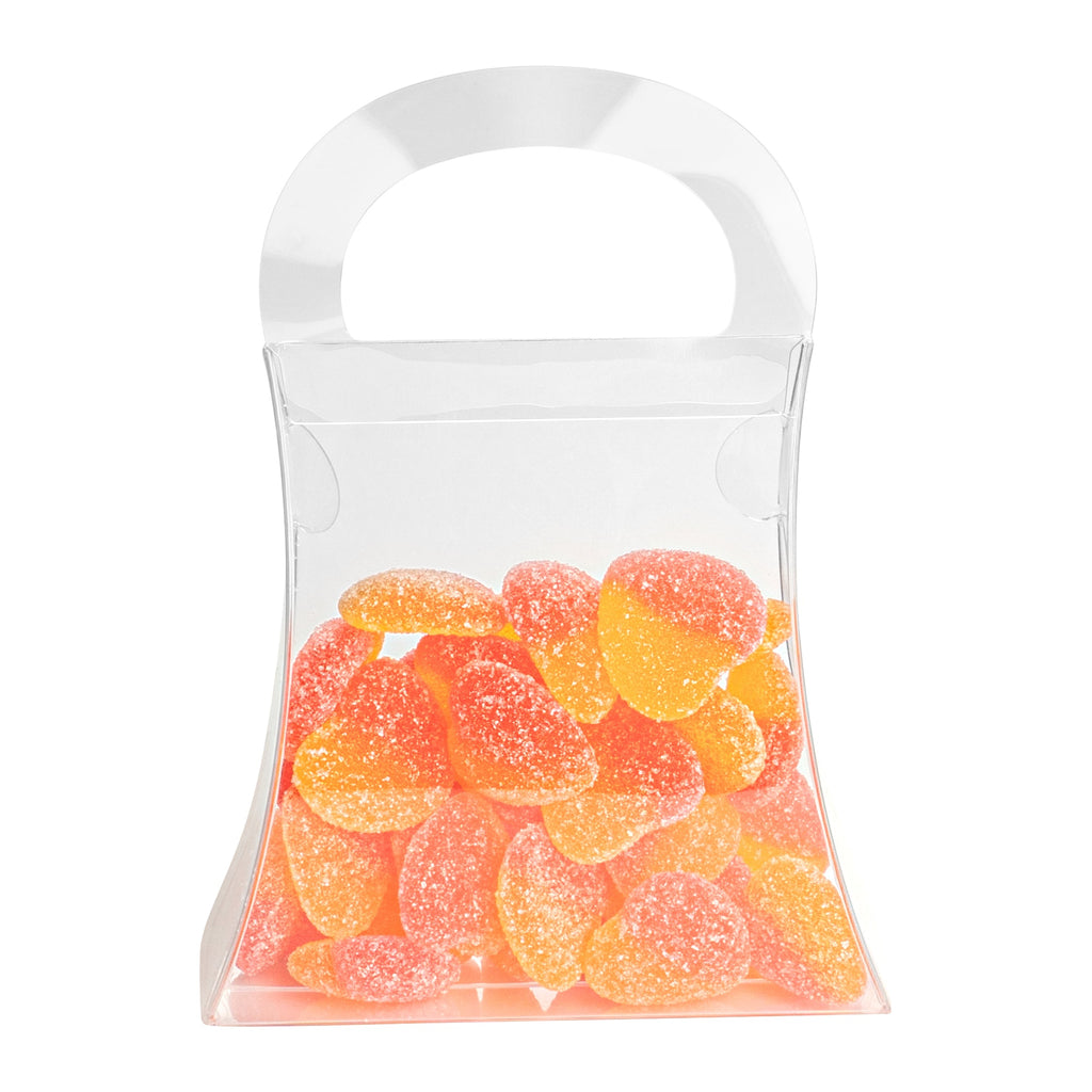Sweet Vision Clear Plastic Purse Box - with Handle - 4" x 1 1/2" x 5 1/2" - 100 count box