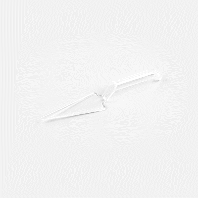 Cater Tek Clear Plastic Cake Server - Recyclable - 10" x 2" x 1" - 10 count box