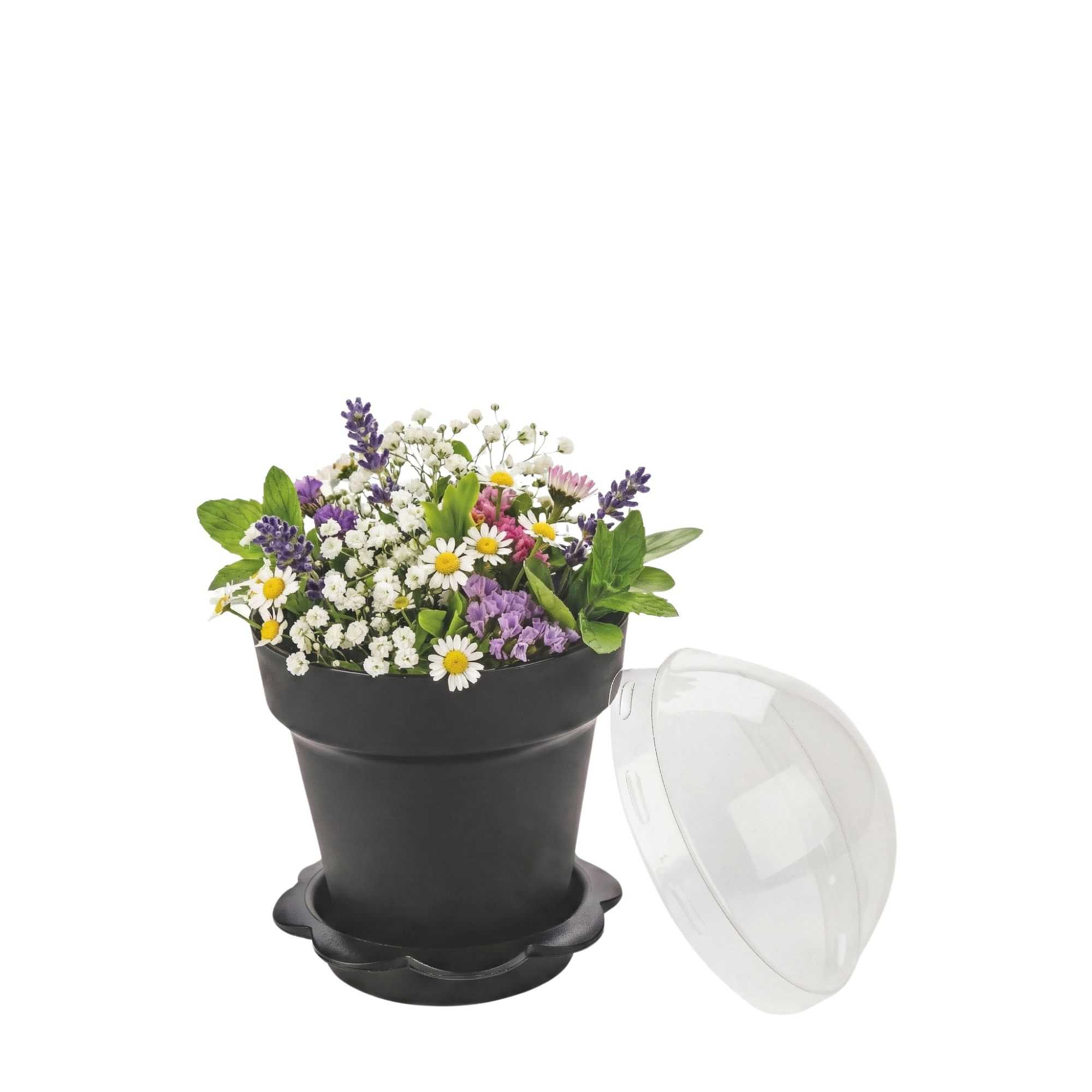 Mini Serve 6 oz Black Plastic Mini Flower Pot Cup - with Lid - 3" x 3" x 3" - 100 count box