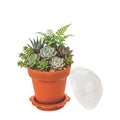 Mini Serve 6 oz Terracotta Plastic Mini Flower Pot Cup - with Lid - 3" x 3" x 3" - 100 count box