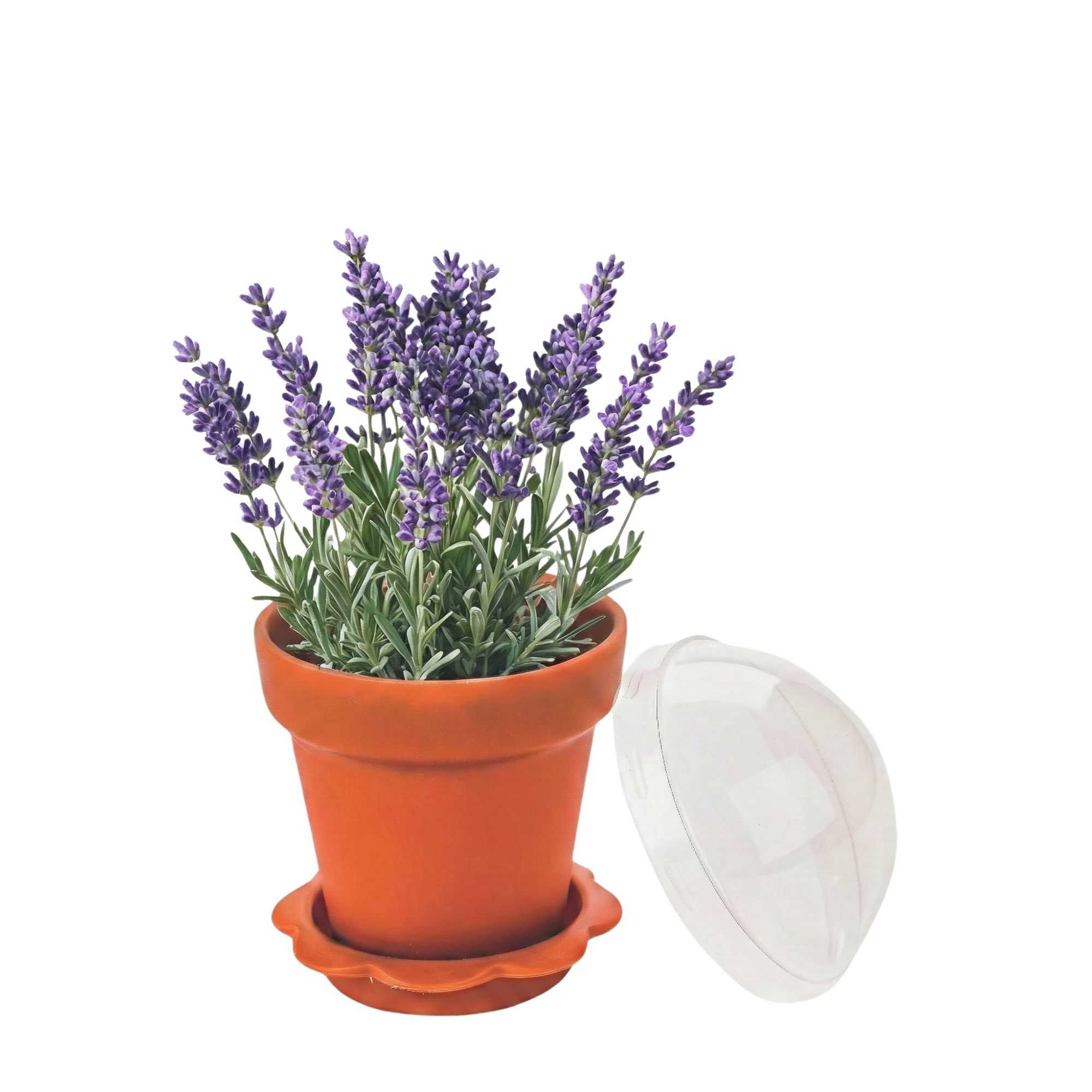 Mini Serve 6 oz Terracotta Plastic Mini Flower Pot Cup - with Lid - 3" x 3" x 3" - 100 count box